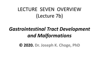 LECTURE SEVEN OVERVIEW
(Lecture 7b)
Gastrointestinal Tract Development
and Malformations
© 2020. Dr. Joseph K. Choge, PhD
 