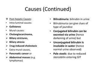 Causes (Continued)
 Post-hepatic Causes:
• Intra-luminal causes:
 Gallstones
• Mural causes:
 Cholangiocarcinoma,
 Biliary strictures,
 Biliary atresia
 Drug-induced cholestasis
• Extra-mural causes,
 Pancreatic cancer or
 Abdominal masses (e.g.
lymphomas)
• Bilirubinuria: bilirubin in urine
• Bilirubinuria can give clues of
type of jaundice
• Conjugated bilirubin can be
excreted via urine (hence
darkening of urine) but
• Unconjugated bilirubin is
insoluble in water (hence
normal urine observed)
• Pale stools: due to reduced
stercobilin entering GIT
 