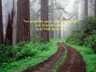 Ten presente que la felicidad se halla a lo largo del camino, no al final de la ruta. 