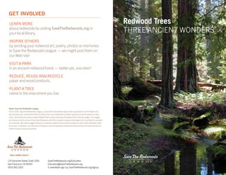 Learn more
about redwoods by visiting SaveTheRedwoods.org or
your local library.
Inspire others
by sending your redwood art, poetry, photos or memories
to Save the Redwoods League — we might post them on
our Web site!
Visit a park
in an ancient redwood forest — better yet, volunteer!
Reduce, reuse and recycle
paper and wood products.
Plant a tree
native to the area where you live.
Get Involved
114 Sansome Street, Suite 1200
San Francisco, CA 94104
(415) 362-2352
SaveTheRedwoods.org/Education
Education@SaveTheRedwoods.org
E-newsletter sign-up: SaveTheRedwoods.org/signup
About Save the Redwoods League
Since 1918, Save the Redwoods League, a nonprofit conservation group with supporters in all 50 states and
around the world, has led the effort to protect the coast redwoods and giant sequoias for all to experience and
enjoy. Guided by our science-based Master Plan to save redwoods throughout their natural ranges, the League
purchases priority pieces of land and donates or sells the property to government agencies for protection as parks
and reserves. We restore logged forests to a majestic state and we support research to learn what redwoods need
to survive. In addition, our Education Program connects people to redwood forests so they will know and want to
protect these unique ecosystems.
Redwood Trees
Three Ancient Wonders
 