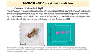 MICROPLASTIC – Hạt nhỏ vấn đề lớn
Chính xác thì microplastic là gì?
Theo Phys.org (Trang web khoa học của Mỹ), microplastic là bất kỳ mảnh nhựa có kích thước
5mm xuống một micromet. Các hạt nhựa nhỏ hơn từ một micromet xuống tới 100 nm được
định nghĩa là tiểu microplastic. Các hạt dưới 100nm được gọi là nanoplastic. Các nghiên cứu
cho thấy, hầu hết các hạt nhựa có kích thước nhỏ hơn 1micromet. [25]
32
Hình ảnh hiển vi của bọ chét nước (Daphnia magna) và phân tích kính hiển vi Raman của một phân khúc trong
ruột của bọ chét nước. Các khu vực màu đỏ tươi trong hình ảnh bên phải cho thấy các hạt PVC bị động vật nuốt.
Credit: H. Imhof and P. Anger / TUM
 