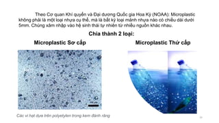 Theo Cơ quan Khí quyển và Đại dương Quốc gia Hoa Kỳ (NOAA): Microplastic
không phải là một loại nhựa cụ thể, mà là bất kỳ loại mảnh nhựa nào có chiều dài dưới
5mm. Chúng xâm nhập vào hệ sinh thái tự nhiên từ nhiều nguồn khác nhau.
Chia thành 2 loại:
33
Microplastic Sơ cấp
.
Microplastic Thứ cấp
Các vi hạt dựa trên polyetylen trong kem đánh răng
 