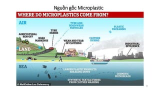 Nguồn gốc Microplastic
34
 