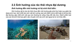 2.2 Ảnh hưởng của rác thải nhựa đại dương
Ảnh hưởng đến môi trường và hệ sinh thái biển:
Ảnh hưởng vật lý của rác thải nhựa đến môi trường gây phá hủy hoặc suy giảm đa
dạng sinh học; làm chết các sinh vật bởi vướng vào lưới đánh cá bị mất hoặc bị bỏ lại trên
đại dương; gây chết sinh vật qua con đường ăn uống; thay đổi cấu trúc, thành phần loài
của các hệ sinh thái bao gồm việc chuyên chở các sinh vật ngoại lai từ nơi khác đến.
40
 