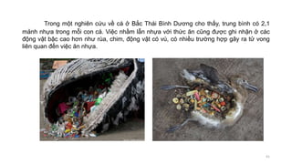 Trong một nghiên cứu về cá ở Bắc Thái Bình Dương cho thấy, trung bình có 2,1
mảnh nhựa trong mỗi con cá. Việc nhầm lẫn nhựa với thức ăn cũng được ghi nhận ở các
động vật bậc cao hơn như rùa, chim, động vật có vú, có nhiều trường hợp gây ra tử vong
liên quan đến việc ăn nhựa.
41
 