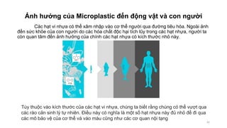 Ảnh hưởng của Microplastic đến động vật và con người
Các hạt vi nhựa có thể xâm nhập vào cơ thể người qua đường tiêu hóa. Ngoài ảnh
đến sức khỏe của con người do các hóa chất độc hại tích lũy trong các hạt nhựa, người ta
còn quan tâm đến ảnh hưởng của chính các hạt nhựa có kích thước nhỏ này.
42
Tùy thuộc vào kích thước của các hạt vi nhựa, chúng ta biết rằng chúng có thể vượt qua
các rào cản sinh lý tự nhiên. Điều này có nghĩa là một số hạt nhựa này đủ nhỏ để đi qua
các mô bảo vệ của cơ thể và vào máu cũng như các cơ quan nội tạng
 