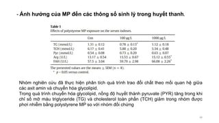 - Ảnh hưởng của MP đến các thông số sinh lý trong huyết thanh.
48
Nhóm nghiên cứu đã thực hiện phân tích quá trình trao đổi chất theo mối quan hệ giữa
các axit amin và chuyển hóa glycolipid.
Trong quá trình chuyển hóa glycolipid, nồng độ huyết thánh pyruvate (PYR) tăng trong khi
chỉ số mỡ máu triglyceride (TG) và cholesterol toàn phần (TCH) giảm trong nhóm được
phơi nhiễm bằng polystyrene MP so với nhóm đối chứng
 