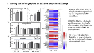 - Tác dụng của MP Polystyrene lên quá trình chuyển hóa axit mật
51
(A) và (B), Tổng số axit mật (TBA)
trong huyết thanh và gan sau khi
tiếp xúc với polystyrene MP
trong 6 tuần
(C,D) Mức độ phiên mã của các
gen liên quan đến vận chuyển,
tổng hợp và tín hiệu của axit mật
trong gan sau khi tiếp xúc với
polystyrene MP
(E), Sự khác biệt giữa nhóm
được điều trị bằng polystyrene
MP cho 36 chất chuyển hóa axit
mật trong huyết thanh
 