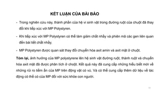 - Trong nghiên cứu này, thành phần của hệ vi sinh vật trong đường ruột của chuột đã thay
đổi khi tiếp xúc với MP Polystyren.
- Khi tiếp xúc với MP Polystyren có thể làm giảm chất nhầy và phiên mã các gen liên quan
đến bài tiết chất nhầy.
- MP Polystyren được quan sát thay đổi chuyển hóa axit amin và axit mật ở chuột.
Tóm lại, ảnh hưởng của MP polystyrene lên hệ sinh vật đường ruột, thành ruột và chuyển
hóa axit mật đã được phân tích ở choột. Kết quả này đã cung cấp những hiểu biết mới về
những rủi ro tiềm ẩn của MP trên động vật có vú. Và có thể cung cấp thêm dữ liệu về tác
động có thể có của MP đối với sức khỏe con người.
52
KẾT LUẬN CỦA BÀI BÁO
 
