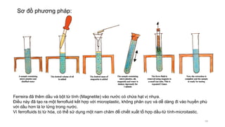Sơ đồ phương pháp:
59
Ferreira đã thêm dầu và bột từ tính (Magnetite) vào nước có chứa hạt vị nhựa.
Điều này đã tạo ra một ferrofluid kết hợp với microplastic, không phân cực và dễ dàng đi vào huyền phù
với dầu hơn là lơ lửng trong nước.
Vì ferrofluids bị từ hóa, có thể sử dụng một nam châm để chiết xuất tổ hợp dầu-từ tính-microitastic.
 