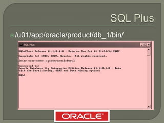  DataUserName
/ (slash)
 Password
@
 ID instancia


Sqlplus    system/oracle@orcl
 