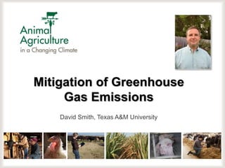 Mitigation of Greenhouse
Gas Emissions
David Smith, Texas A&M University
 