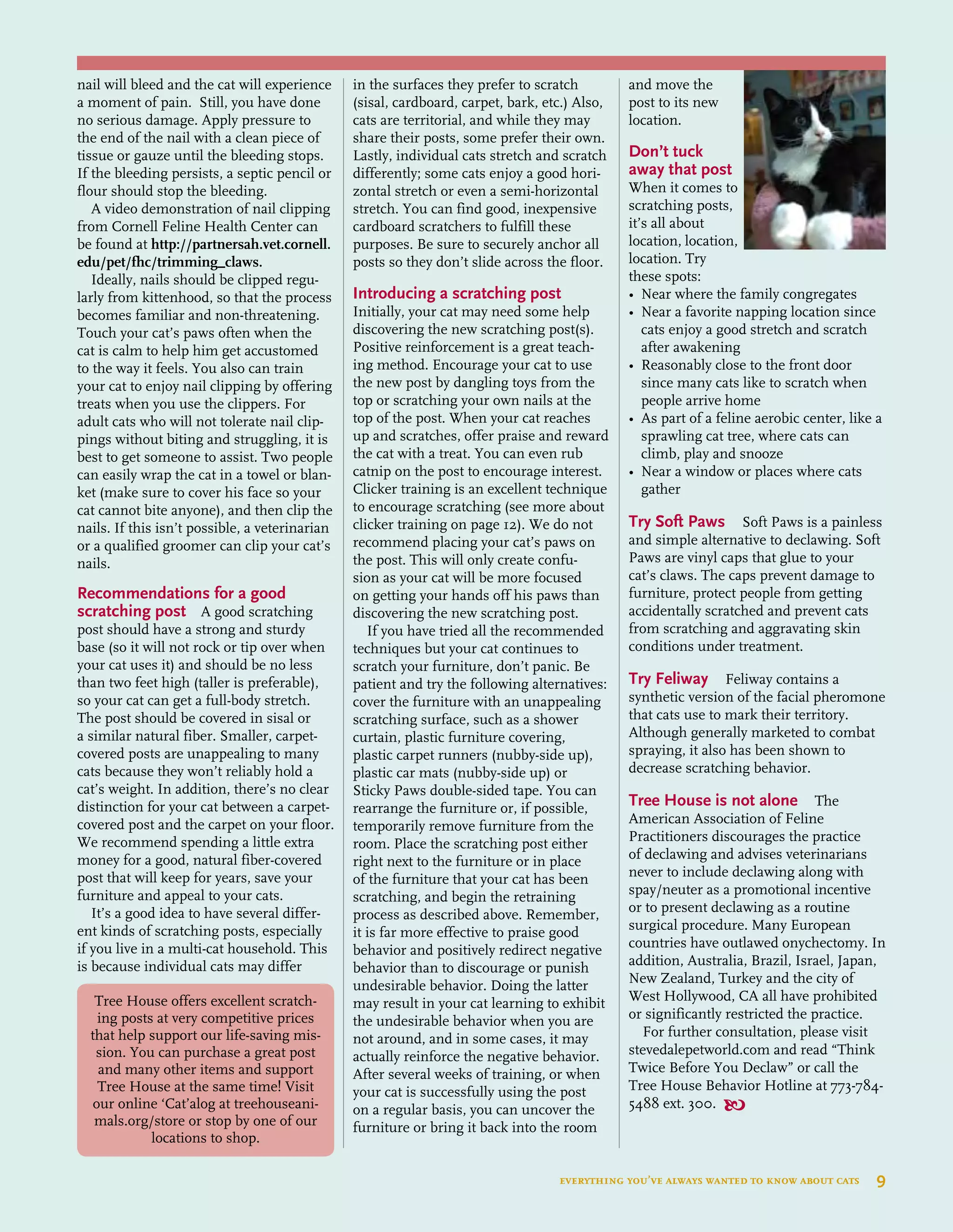 nail will bleed and the cat will experience
a moment of pain. Still, you have done
no serious damage. Apply pressure to
the end of the nail with a clean piece of
tissue or gauze until the bleeding stops.
If the bleeding persists, a septic pencil or
flour should stop the bleeding.
A video demonstration of nail clipping
from Cornell Feline Health Center can
be found at http://partnersah.vet.cornell.
edu/pet/fhc/trimming_claws.
Ideally, nails should be clipped regu-
larly from kittenhood, so that the process
becomes familiar and non-threatening.
Touch your cat’s paws often when the
cat is calm to help him get accustomed
to the way it feels. You also can train
your cat to enjoy nail clipping by offering
treats when you use the clippers. For
adult cats who will not tolerate nail clip-
pings without biting and struggling, it is
best to get someone to assist. Two people
can easily wrap the cat in a towel or blan-
ket (make sure to cover his face so your
cat cannot bite anyone), and then clip the
nails. If this isn’t possible, a veterinarian
or a qualified groomer can clip your cat’s
nails.
Recommendations for a good
scratching post A good scratching
post should have a strong and sturdy
base (so it will not rock or tip over when
your cat uses it) and should be no less
than two feet high (taller is preferable),
so your cat can get a full-body stretch.
The post should be covered in sisal or
a similar natural fiber. Smaller, carpet-
covered posts are unappealing to many
cats because they won’t reliably hold a
cat’s weight. In addition, there’s no clear
distinction for your cat between a carpet-
covered post and the carpet on your floor.
We recommend spending a little extra
money for a good, natural fiber-covered
post that will keep for years, save your
furniture and appeal to your cats.
It’s a good idea to have several differ-
ent kinds of scratching posts, especially
if you live in a multi-cat household. This
is because individual cats may differ
in the surfaces they prefer to scratch
(sisal, cardboard, carpet, bark, etc.) Also,
cats are territorial, and while they may
share their posts, some prefer their own.
Lastly, individual cats stretch and scratch
differently; some cats enjoy a good hori-
zontal stretch or even a semi-horizontal
stretch. You can find good, inexpensive
cardboard scratchers to fulfill these
purposes. Be sure to securely anchor all
posts so they don’t slide across the floor.
Introducing a scratching post 
Initially, your cat may need some help
discovering the new scratching post(s).
Positive reinforcement is a great teach-
ing method. Encourage your cat to use
the new post by dangling toys from the
top or scratching your own nails at the
top of the post. When your cat reaches
up and scratches, offer praise and reward
the cat with a treat. You can even rub
catnip on the post to encourage interest.
Clicker training is an excellent technique
to encourage scratching (see more about
clicker training on page 12). We do not
recommend placing your cat’s paws on
the post. This will only create confu-
sion as your cat will be more focused
on getting your hands off his paws than
discovering the new scratching post.
If you have tried all the recommended
techniques but your cat continues to
scratch your furniture, don’t panic. Be
patient and try the following alternatives:
cover the furniture with an unappealing
scratching surface, such as a shower
curtain, plastic furniture covering,
plastic carpet runners (nubby-side up),
plastic car mats (nubby-side up) or
Sticky Paws double-sided tape. You can
rearrange the furniture or, if possible,
temporarily remove furniture from the
room. Place the scratching post either
right next to the furniture or in place
of the furniture that your cat has been
scratching, and begin the retraining
process as described above. Remember,
it is far more effective to praise good
behavior and positively redirect negative
behavior than to discourage or punish
undesirable behavior. Doing the latter
may result in your cat learning to exhibit
the undesirable behavior when you are
not around, and in some cases, it may
actually reinforce the negative behavior.
After several weeks of training, or when
your cat is successfully using the post
on a regular basis, you can uncover the
furniture or bring it back into the room
and move the
post to its new
location.
Don’t tuck
away that post
When it comes to
scratching posts,
it’s all about
location, location,
location. Try
these spots:
•	 Near where the family congregates
•	 Near a favorite napping location since 	
	 cats enjoy a good stretch and scratch 	
	 after awakening
•	 Reasonably close to the front door 	
	 since many cats like to scratch when 	
	 people arrive home
•	 As part of a feline aerobic center, like a
	 sprawling cat tree, where cats can 	
	 climb, play and snooze
•	 Near a window or places where cats 	
	 gather
Try Soft Paws Soft Paws is a painless
and simple alternative to declawing. Soft
Paws are vinyl caps that glue to your
cat’s claws. The caps prevent damage to
furniture, protect people from getting
accidentally scratched and prevent cats
from scratching and aggravating skin
conditions under treatment.
Try Feliway Feliway contains a
synthetic version of the facial pheromone
that cats use to mark their territory.
Although generally marketed to combat
spraying, it also has been shown to
decrease scratching behavior.
Tree House is not alone The
American Association of Feline
Practitioners discourages the practice
of declawing and advises veterinarians
never to include declawing along with
spay/neuter as a promotional incentive
or to present declawing as a routine
surgical procedure. Many European
countries have outlawed onychectomy. In
addition, Australia, Brazil, Israel, Japan,
New Zealand, Turkey and the city of
West Hollywood, CA all have prohibited
or significantly restricted the practice.
For further consultation, please visit
stevedalepetworld.com and read “Think
Twice Before You Declaw” or call the
Tree House Behavior Hotline at 773-784-
5488 ext. 300. 
Tree House offers excellent scratch-
ing posts at very competitive prices
that help support our life-saving mis-
sion. You can purchase a great post
and many other items and support
Tree House at the same time! Visit
our online ‘Cat’alog at treehouseani-
mals.org/store or stop by one of our
locations to shop.
everything you’ve always wanted to know about cats  9
 