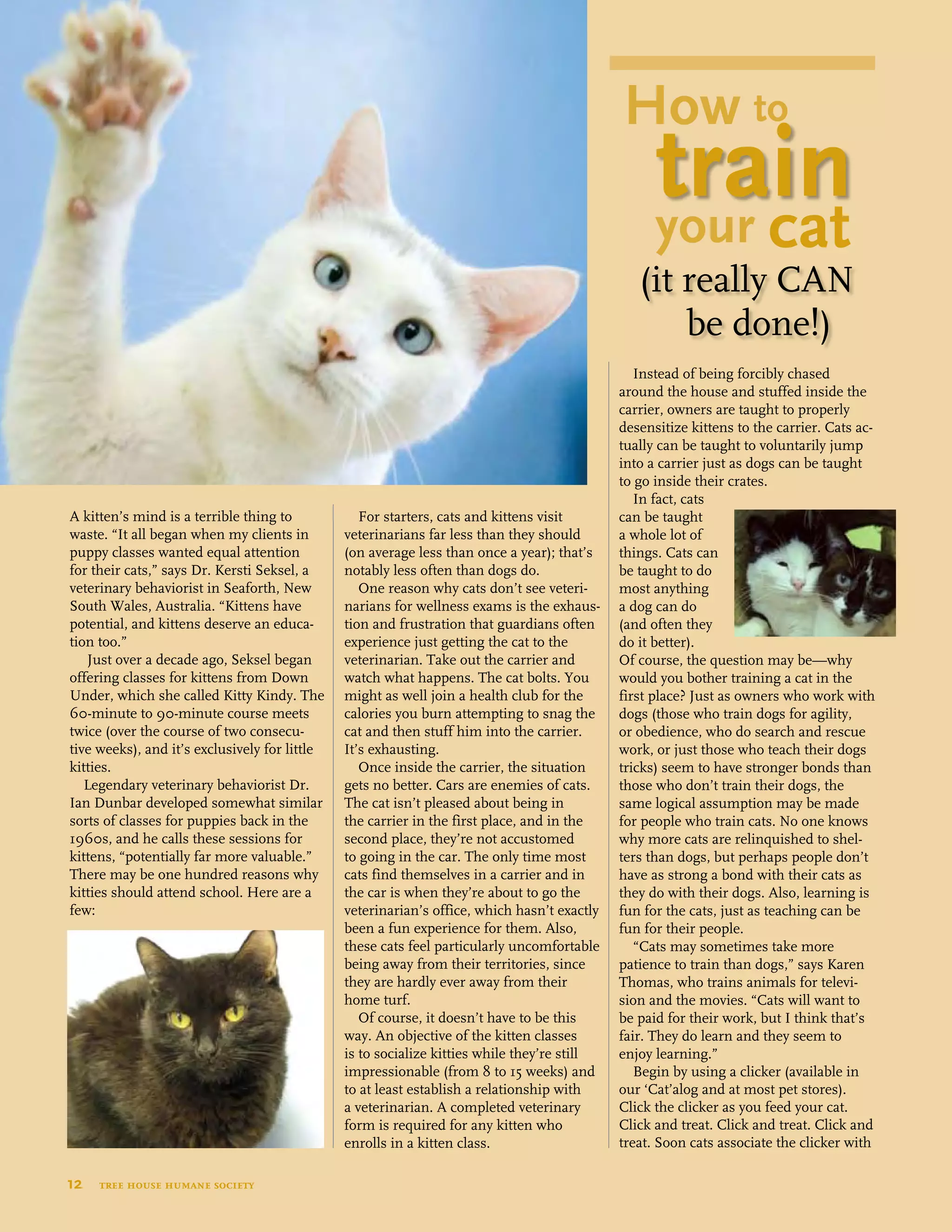 12  tree house humane society
How to 			
your cat
(it really CAN 	
		 be done!)
A kitten’s mind is a terrible thing to
waste. “It all began when my clients in
puppy classes wanted equal attention
for their cats,” says Dr. Kersti Seksel, a
veterinary behaviorist in Seaforth, New
South Wales, Australia. “Kittens have
potential, and kittens deserve an educa-
tion too.”
Just over a decade ago, Seksel began
offering classes for kittens from Down
Under, which she called Kitty Kindy. The
60-minute to 90-minute course meets
twice (over the course of two consecu-
tive weeks), and it’s exclusively for little
kitties.
Legendary veterinary behaviorist Dr.
Ian Dunbar developed somewhat similar
sorts of classes for puppies back in the
1960s, and he calls these sessions for
kittens, “potentially far more valuable.”
There may be one hundred reasons why
kitties should attend school. Here are a
few:
For starters, cats and kittens visit
veterinarians far less than they should
(on average less than once a year); that’s
notably less often than dogs do.
One reason why cats don’t see veteri-
narians for wellness exams is the exhaus-
tion and frustration that guardians often
experience just getting the cat to the
veterinarian. Take out the carrier and
watch what happens. The cat bolts. You
might as well join a health club for the
calories you burn attempting to snag the
cat and then stuff him into the carrier.
It’s exhausting.
Once inside the carrier, the situation
gets no better. Cars are enemies of cats.
The cat isn’t pleased about being in
the carrier in the first place, and in the
second place, they’re not accustomed
to going in the car. The only time most
cats find themselves in a carrier and in
the car is when they’re about to go the
veterinarian’s office, which hasn’t exactly
been a fun experience for them. Also,
these cats feel particularly uncomfortable
being away from their territories, since
they are hardly ever away from their
home turf.
Of course, it doesn’t have to be this
way. An objective of the kitten classes
is to socialize kitties while they’re still
impressionable (from 8 to 15 weeks) and
to at least establish a relationship with
a veterinarian. A completed veterinary
form is required for any kitten who
enrolls in a kitten class.
Instead of being forcibly chased
around the house and stuffed inside the
carrier, owners are taught to properly
desensitize kittens to the carrier. Cats ac-
tually can be taught to voluntarily jump
into a carrier just as dogs can be taught
to go inside their crates.
In fact, cats
can be taught
a whole lot of
things. Cats can
be taught to do
most anything
a dog can do
(and often they
do it better).
Of course, the question may be—why
would you bother training a cat in the
first place? Just as owners who work with
dogs (those who train dogs for agility,
or obedience, who do search and rescue
work, or just those who teach their dogs
tricks) seem to have stronger bonds than
those who don’t train their dogs, the
same logical assumption may be made
for people who train cats. No one knows
why more cats are relinquished to shel-
ters than dogs, but perhaps people don’t
have as strong a bond with their cats as
they do with their dogs. Also, learning is
fun for the cats, just as teaching can be
fun for their people.
“Cats may sometimes take more
patience to train than dogs,” says Karen
Thomas, who trains animals for televi-
sion and the movies. “Cats will want to
be paid for their work, but I think that’s
fair. They do learn and they seem to
enjoy learning.”
Begin by using a clicker (available in
our ‘Cat’alog and at most pet stores).
Click the clicker as you feed your cat.
Click and treat. Click and treat. Click and
treat. Soon cats associate the clicker with
train
 