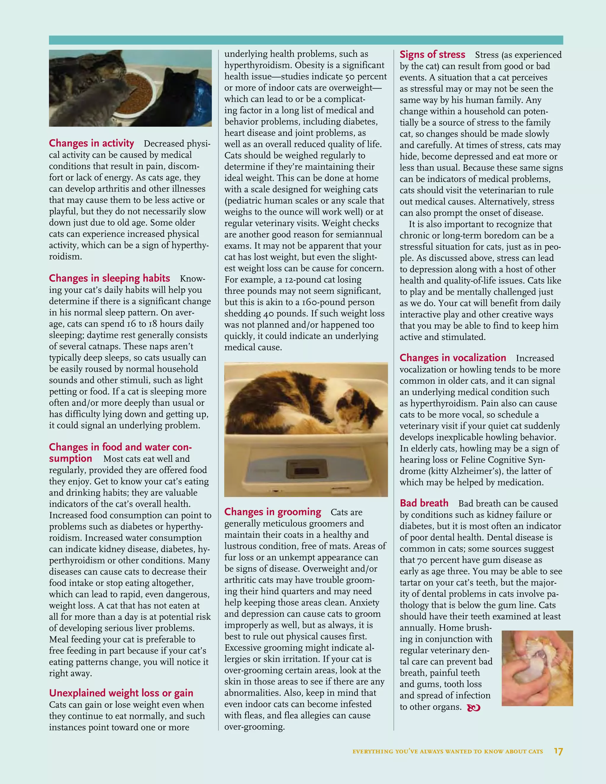 Changes in activity Decreased physi-
cal activity can be caused by medical
conditions that result in pain, discom-
fort or lack of energy. As cats age, they
can develop arthritis and other illnesses
that may cause them to be less active or
playful, but they do not necessarily slow
down just due to old age. Some older
cats can experience increased physical
activity, which can be a sign of hyperthy-
roidism.
Changes in sleeping habits Know-
ing your cat’s daily habits will help you
determine if there is a significant change
in his normal sleep pattern. On aver-
age, cats can spend 16 to 18 hours daily
sleeping; daytime rest generally consists
of several catnaps. These naps aren’t
typically deep sleeps, so cats usually can
be easily roused by normal household
sounds and other stimuli, such as light
petting or food. If a cat is sleeping more
often and/or more deeply than usual or
has difficulty lying down and getting up,
it could signal an underlying problem.
Changes in food and water con-
sumption Most cats eat well and
regularly, provided they are offered food
they enjoy. Get to know your cat’s eating
and drinking habits; they are valuable
indicators of the cat’s overall health.
Increased food consumption can point to
problems such as diabetes or hyperthy-
roidism. Increased water consumption
can indicate kidney disease, diabetes, hy-
perthyroidism or other conditions. Many
diseases can cause cats to decrease their
food intake or stop eating altogether,
which can lead to rapid, even dangerous,
weight loss. A cat that has not eaten at
all for more than a day is at potential risk
of developing serious liver problems.
Meal feeding your cat is preferable to
free feeding in part because if your cat’s
eating patterns change, you will notice it
right away.
Unexplained weight loss or gain
Cats can gain or lose weight even when
they continue to eat normally, and such
instances point toward one or more
underlying health problems, such as
hyperthyroidism. Obesity is a significant
health issue—studies indicate 50 percent
or more of indoor cats are overweight—
which can lead to or be a complicat-
ing factor in a long list of medical and
behavior problems, including diabetes,
heart disease and joint problems, as
well as an overall reduced quality of life.
Cats should be weighed regularly to
determine if they’re maintaining their
ideal weight. This can be done at home
with a scale designed for weighing cats
(pediatric human scales or any scale that
weighs to the ounce will work well) or at
regular veterinary visits. Weight checks
are another good reason for semiannual
exams. It may not be apparent that your
cat has lost weight, but even the slight-
est weight loss can be cause for concern.
For example, a 12-pound cat losing
three pounds may not seem significant,
but this is akin to a 160-pound person
shedding 40 pounds. If such weight loss
was not planned and/or happened too
quickly, it could indicate an underlying
medical cause.
Changes in grooming Cats are
generally meticulous groomers and
maintain their coats in a healthy and
lustrous condition, free of mats. Areas of
fur loss or an unkempt appearance can
be signs of disease. Overweight and/or
arthritic cats may have trouble groom-
ing their hind quarters and may need
help keeping those areas clean. Anxiety
and depression can cause cats to groom
improperly as well, but as always, it is
best to rule out physical causes first.
Excessive grooming might indicate al-
lergies or skin irritation. If your cat is
over-grooming certain areas, look at the
skin in those areas to see if there are any
abnormalities. Also, keep in mind that
even indoor cats can become infested
with fleas, and flea allegies can cause
over-grooming.
Signs of stress Stress (as experienced
by the cat) can result from good or bad
events. A situation that a cat perceives
as stressful may or may not be seen the
same way by his human family. Any
change within a household can poten-
tially be a source of stress to the family
cat, so changes should be made slowly
and carefully. At times of stress, cats may
hide, become depressed and eat more or
less than usual. Because these same signs
can be indicators of medical problems,
cats should visit the veterinarian to rule
out medical causes. Alternatively, stress
can also prompt the onset of disease.
It is also important to recognize that
chronic or long-term boredom can be a
stressful situation for cats, just as in peo-
ple. As discussed above, stress can lead
to depression along with a host of other
health and quality-of-life issues. Cats like
to play and be mentally challenged just
as we do. Your cat will benefit from daily
interactive play and other creative ways
that you may be able to find to keep him
active and stimulated.
Changes in vocalization Increased
vocalization or howling tends to be more
common in older cats, and it can signal
an underlying medical condition such
as hyperthyroidism. Pain also can cause
cats to be more vocal, so schedule a
veterinary visit if your quiet cat suddenly
develops inexplicable howling behavior.
In elderly cats, howling may be a sign of
hearing loss or Feline Cognitive Syn-
drome (kitty Alzheimer’s), the latter of
which may be helped by medication.
Bad breath Bad breath can be caused
by conditions such as kidney failure or
diabetes, but it is most often an indicator
of poor dental health. Dental disease is
common in cats; some sources suggest
that 70 percent have gum disease as
early as age three. You may be able to see
tartar on your cat’s teeth, but the major-
ity of dental problems in cats involve pa-
thology that is below the gum line. Cats
should have their teeth examined at least
annually. Home brush-
ing in conjunction with
regular veterinary den-
tal care can prevent bad
breath, painful teeth
and gums, tooth loss
and spread of infection
to other organs. 
everything you’ve always wanted to know about cats  17
 