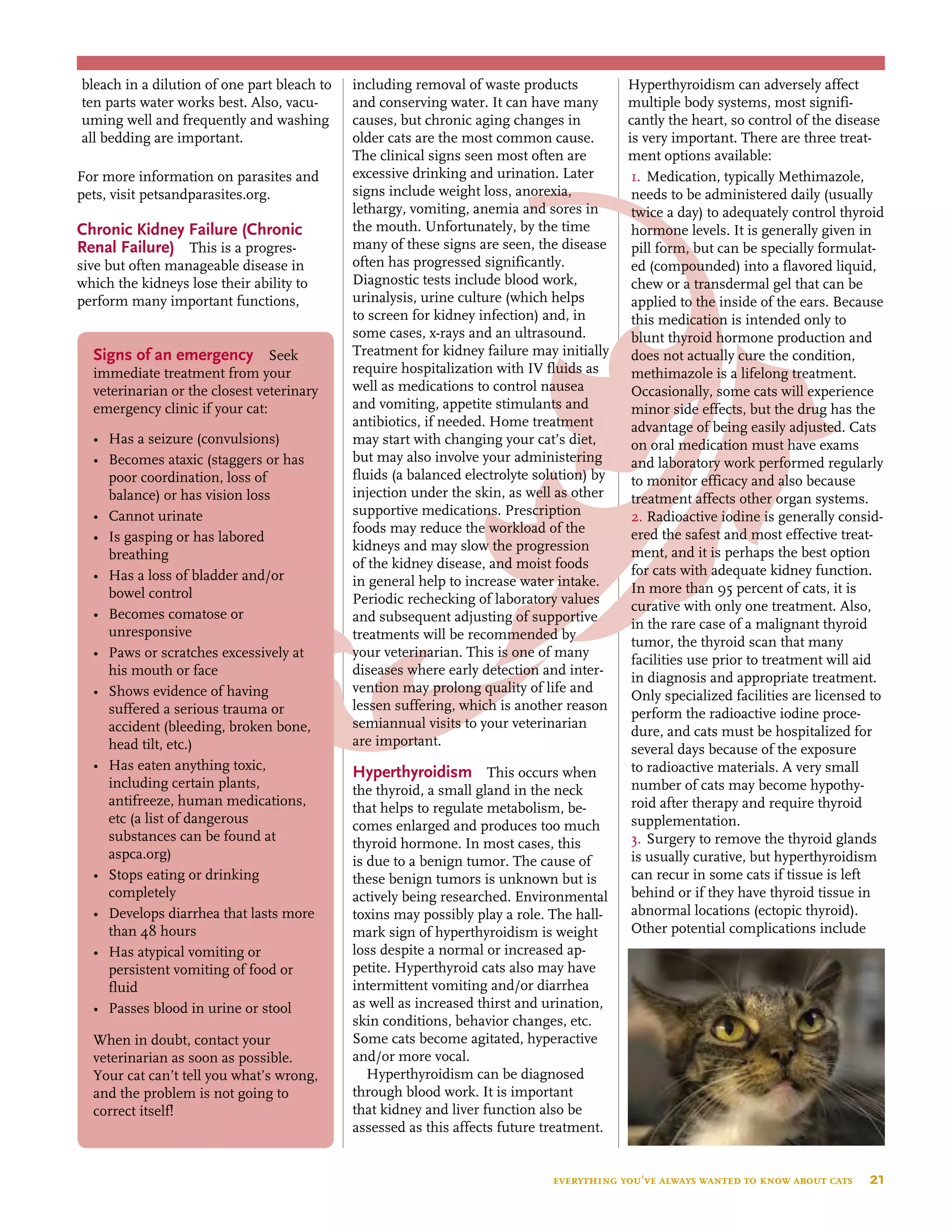 Signs of an emergency Seek
immediate treatment from your
veterinarian or the closest veterinary
emergency clinic if your cat:
•	 Has a seizure (convulsions)
•	 Becomes ataxic (staggers or has
	 poor coordination, loss of
	 balance) or has vision loss
•	 Cannot urinate
•	 Is gasping or has labored 	 	
	 breathing
•	 Has a loss of bladder and/or 	 	
	 bowel control
•	 Becomes comatose or 	 	 	
	 unresponsive
•	 Paws or scratches excessively at 	 	
	 his mouth or face
•	 Shows evidence of having 	 	
	 suffered a serious trauma or
	 accident (bleeding, broken bone, 		
	 head tilt, etc.)
•	 Has eaten anything toxic,
	 including certain plants, 		
	 antifreeze, human medications,
	 etc (a list of dangerous
	 substances can be found at
	 aspca.org)
•	 Stops eating or drinking 	 	
	 completely
•	 Develops diarrhea that lasts more 	
	 than 48 hours
•	 Has atypical vomiting or
	 persistent vomiting of food or 		
	 fluid
•	 Passes blood in urine or stool
When in doubt, contact your
veterinarian as soon as possible.
Your cat can’t tell you what’s wrong,
and the problem is not going to
correct itself!
everything you’ve always wanted to know about cats  21
bleach in a dilution of one part bleach to
ten parts water works best. Also, vacu-
uming well and frequently and washing
all bedding are important.
For more information on parasites and
pets, visit petsandparasites.org.
Chronic Kidney Failure (Chronic
Renal Failure) This is a progres-
sive but often manageable disease in
which the kidneys lose their ability to
perform many important functions,
including removal of waste products
and conserving water. It can have many
causes, but chronic aging changes in
older cats are the most common cause.
The clinical signs seen most often are
excessive drinking and urination. Later
signs include weight loss, anorexia,
lethargy, vomiting, anemia and sores in
the mouth. Unfortunately, by the time
many of these signs are seen, the disease
often has progressed significantly.
Diagnostic tests include blood work,
urinalysis, urine culture (which helps
to screen for kidney infection) and, in
some cases, x-rays and an ultrasound.
Treatment for kidney failure may initially
require hospitalization with IV fluids as
well as medications to control nausea
and vomiting, appetite stimulants and
antibiotics, if needed. Home treatment
may start with changing your cat’s diet,
but may also involve your administering
fluids (a balanced electrolyte solution) by
injection under the skin, as well as other
supportive medications. Prescription
foods may reduce the workload of the
kidneys and may slow the progression
of the kidney disease, and moist foods
in general help to increase water intake.
Periodic rechecking of laboratory values
and subsequent adjusting of supportive
treatments will be recommended by
your veterinarian. This is one of many
diseases where early detection and inter-
vention may prolong quality of life and
lessen suffering, which is another reason
semiannual visits to your veterinarian
are important.
Hyperthyroidism This occurs when
the thyroid, a small gland in the neck
that helps to regulate metabolism, be-
comes enlarged and produces too much
thyroid hormone. In most cases, this
is due to a benign tumor. The cause of
these benign tumors is unknown but is
actively being researched. Environmental
toxins may possibly play a role. The hall-
mark sign of hyperthyroidism is weight
loss despite a normal or increased ap-
petite. Hyperthyroid cats also may have
intermittent vomiting and/or diarrhea
as well as increased thirst and urination,
skin conditions, behavior changes, etc.
Some cats become agitated, hyperactive
and/or more vocal.
Hyperthyroidism can be diagnosed
through blood work. It is important
that kidney and liver function also be
assessed as this affects future treatment.
Hyperthyroidism can adversely affect
multiple body systems, most signifi-
cantly the heart, so control of the disease
is very important. There are three treat-
ment options available:
1.	 Medication, typically Methimazole,
needs to be administered daily (usually
twice a day) to adequately control thyroid
hormone levels. It is generally given in
pill form, but can be specially formulat-
ed (compounded) into a flavored liquid,
chew or a transdermal gel that can be
applied to the inside of the ears. Because
this medication is intended only to
blunt thyroid hormone production and
does not actually cure the condition,
methimazole is a lifelong treatment.
Occasionally, some cats will experience
minor side effects, but the drug has the
advantage of being easily adjusted. Cats
on oral medication must have exams
and laboratory work performed regularly
to monitor efficacy and also because
treatment affects other organ systems.
2.	Radioactive iodine is generally consid-
ered the safest and most effective treat-
ment, and it is perhaps the best option
for cats with adequate kidney function.
In more than 95 percent of cats, it is
curative with only one treatment. Also,
in the rare case of a malignant thyroid
tumor, the thyroid scan that many
facilities use prior to treatment will aid
in diagnosis and appropriate treatment.
Only specialized facilities are licensed to
perform the radioactive iodine proce-
dure, and cats must be hospitalized for
several days because of the exposure
to radioactive materials. A very small
number of cats may become hypothy-
roid after therapy and require thyroid
supplementation.
3.	Surgery to remove the thyroid glands
is usually curative, but hyperthyroidism
can recur in some cats if tissue is left
behind or if they have thyroid tissue in
abnormal locations (ectopic thyroid).
Other potential complications include
 