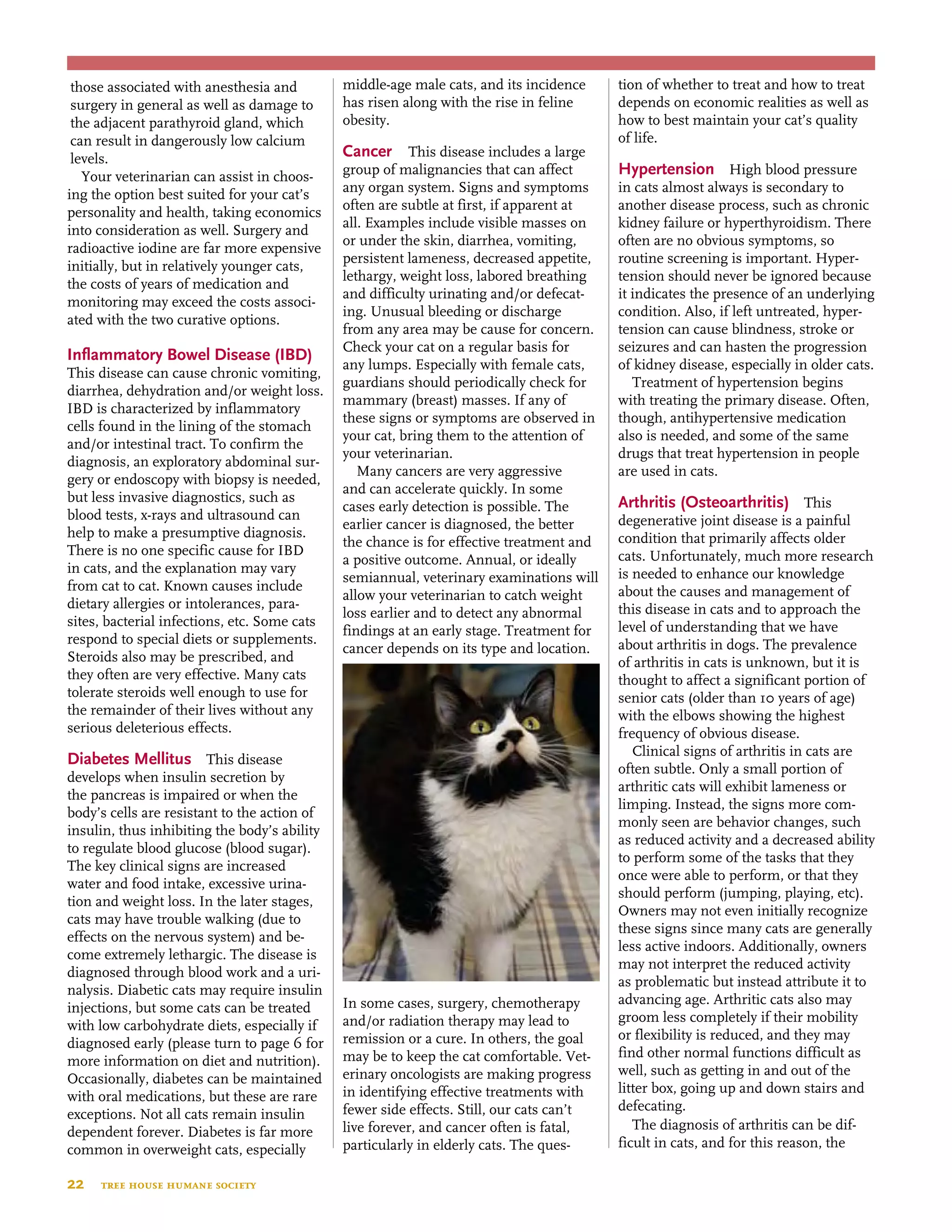 22  tree house humane society
those associated with anesthesia and
surgery in general as well as damage to
the adjacent parathyroid gland, which
can result in dangerously low calcium
levels.
Your veterinarian can assist in choos-
ing the option best suited for your cat’s
personality and health, taking economics
into consideration as well. Surgery and
radioactive iodine are far more expensive
initially, but in relatively younger cats,
the costs of years of medication and
monitoring may exceed the costs associ-
ated with the two curative options.
Inflammatory Bowel Disease (IBD)
This disease can cause chronic vomiting,
diarrhea, dehydration and/or weight loss.
IBD is characterized by inflammatory
cells found in the lining of the stomach
and/or intestinal tract. To confirm the
diagnosis, an exploratory abdominal sur-
gery or endoscopy with biopsy is needed,
but less invasive diagnostics, such as
blood tests, x-rays and ultrasound can
help to make a presumptive diagnosis.
There is no one specific cause for IBD
in cats, and the explanation may vary
from cat to cat. Known causes include
dietary allergies or intolerances, para-
sites, bacterial infections, etc. Some cats
respond to special diets or supplements.
Steroids also may be prescribed, and
they often are very effective. Many cats
tolerate steroids well enough to use for
the remainder of their lives without any
serious deleterious effects.
Diabetes Mellitus This disease
develops when insulin secretion by
the pancreas is impaired or when the
body’s cells are resistant to the action of
insulin, thus inhibiting the body’s ability
to regulate blood glucose (blood sugar).
The key clinical signs are increased
water and food intake, excessive urina-
tion and weight loss. In the later stages,
cats may have trouble walking (due to
effects on the nervous system) and be-
come extremely lethargic. The disease is
diagnosed through blood work and a uri-
nalysis. Diabetic cats may require insulin
injections, but some cats can be treated
with low carbohydrate diets, especially if
diagnosed early (please turn to page 6 for
more information on diet and nutrition).
Occasionally, diabetes can be maintained
with oral medications, but these are rare
exceptions. Not all cats remain insulin
dependent forever. Diabetes is far more
common in overweight cats, especially
middle-age male cats, and its incidence
has risen along with the rise in feline
obesity.
Cancer This disease includes a large
group of malignancies that can affect
any organ system. Signs and symptoms
often are subtle at first, if apparent at
all. Examples include visible masses on
or under the skin, diarrhea, vomiting,
persistent lameness, decreased appetite,
lethargy, weight loss, labored breathing
and difficulty urinating and/or defecat-
ing. Unusual bleeding or discharge
from any area may be cause for concern.
Check your cat on a regular basis for
any lumps. Especially with female cats,
guardians should periodically check for
mammary (breast) masses. If any of
these signs or symptoms are observed in
your cat, bring them to the attention of
your veterinarian.
Many cancers are very aggressive
and can accelerate quickly. In some
cases early detection is possible. The
earlier cancer is diagnosed, the better
the chance is for effective treatment and
a positive outcome. Annual, or ideally
semiannual, veterinary examinations will
allow your veterinarian to catch weight
loss earlier and to detect any abnormal
findings at an early stage. Treatment for
cancer depends on its type and location.
In some cases, surgery, chemotherapy
and/or radiation therapy may lead to
remission or a cure. In others, the goal
may be to keep the cat comfortable. Vet-
erinary oncologists are making progress
in identifying effective treatments with
fewer side effects. Still, our cats can’t
live forever, and cancer often is fatal,
particularly in elderly cats. The ques-
tion of whether to treat and how to treat
depends on economic realities as well as
how to best maintain your cat’s quality
of life.
Hypertension High blood pressure
in cats almost always is secondary to
another disease process, such as chronic
kidney failure or hyperthyroidism. There
often are no obvious symptoms, so
routine screening is important. Hyper-
tension should never be ignored because
it indicates the presence of an underlying
condition. Also, if left untreated, hyper-
tension can cause blindness, stroke or
seizures and can hasten the progression
of kidney disease, especially in older cats.
Treatment of hypertension begins
with treating the primary disease. Often,
though, antihypertensive medication
also is needed, and some of the same
drugs that treat hypertension in people
are used in cats.
Arthritis (Osteoarthritis) This
degenerative joint disease is a painful
condition that primarily affects older
cats. Unfortunately, much more research
is needed to enhance our knowledge
about the causes and management of
this disease in cats and to approach the
level of understanding that we have
about arthritis in dogs. The prevalence
of arthritis in cats is unknown, but it is
thought to affect a significant portion of
senior cats (older than 10 years of age)
with the elbows showing the highest
frequency of obvious disease.
Clinical signs of arthritis in cats are
often subtle. Only a small portion of
arthritic cats will exhibit lameness or
limping. Instead, the signs more com-
monly seen are behavior changes, such
as reduced activity and a decreased ability
to perform some of the tasks that they
once were able to perform, or that they
should perform (jumping, playing, etc).
Owners may not even initially recognize
these signs since many cats are generally
less active indoors. Additionally, owners
may not interpret the reduced activity
as problematic but instead attribute it to
advancing age. Arthritic cats also may
groom less completely if their mobility
or flexibility is reduced, and they may
find other normal functions difficult as
well, such as getting in and out of the
litter box, going up and down stairs and
defecating.
The diagnosis of arthritis can be dif-
ficult in cats, and for this reason, the
 