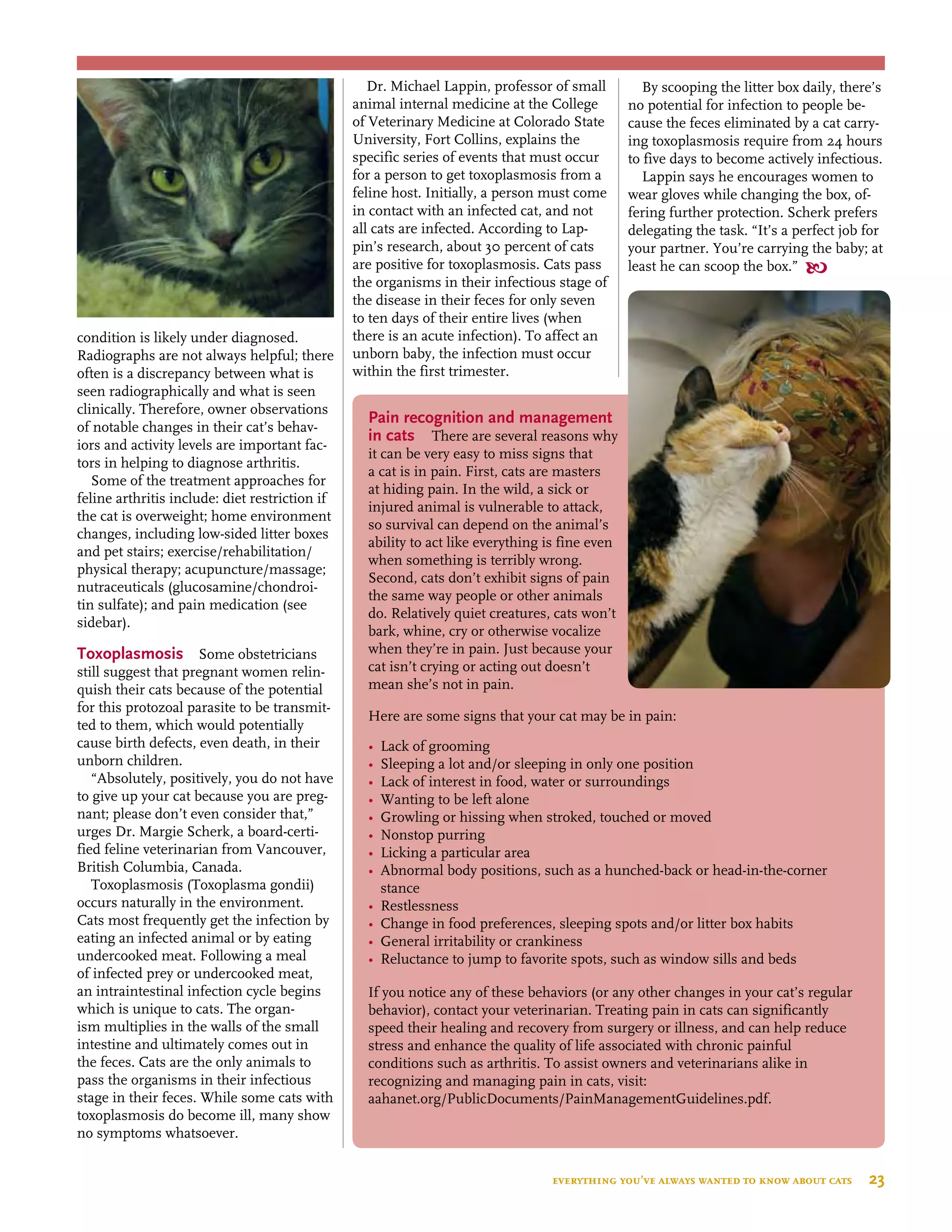 Pain recognition and management
in cats There are several reasons why
it can be very easy to miss signs that
a cat is in pain. First, cats are masters
at hiding pain. In the wild, a sick or
injured animal is vulnerable to attack,
so survival can depend on the animal’s
ability to act like everything is fine even
when something is terribly wrong.
Second, cats don’t exhibit signs of pain
the same way people or other animals
do. Relatively quiet creatures, cats won’t
bark, whine, cry or otherwise vocalize
when they’re in pain. Just because your
cat isn’t crying or acting out doesn’t
mean she’s not in pain.
Here are some signs that your cat may be in pain:
•	 Lack of grooming
•	 Sleeping a lot and/or sleeping in only one position
•	 Lack of interest in food, water or surroundings
•	 Wanting to be left alone
•	 Growling or hissing when stroked, touched or moved
•	 Nonstop purring
•	 Licking a particular area
•	 Abnormal body positions, such as a hunched-back or head-in-the-corner 	
	 stance
•	 Restlessness
•	 Change in food preferences, sleeping spots and/or litter box habits
•	 General irritability or crankiness
•	 Reluctance to jump to favorite spots, such as window sills and beds
If you notice any of these behaviors (or any other changes in your cat’s regular
behavior), contact your veterinarian. Treating pain in cats can significantly
speed their healing and recovery from surgery or illness, and can help reduce
stress and enhance the quality of life associated with chronic painful
conditions such as arthritis. To assist owners and veterinarians alike in
recognizing and managing pain in cats, visit:
aahanet.org/PublicDocuments/PainManagementGuidelines.pdf.
condition is likely under diagnosed.
Radiographs are not always helpful; there
often is a discrepancy between what is
seen radiographically and what is seen
clinically. Therefore, owner observations
of notable changes in their cat’s behav-
iors and activity levels are important fac-
tors in helping to diagnose arthritis.
Some of the treatment approaches for
feline arthritis include: diet restriction if
the cat is overweight; home environment
changes, including low-sided litter boxes
and pet stairs; exercise/rehabilitation/
physical therapy; acupuncture/massage;
nutraceuticals (glucosamine/chondroi-
tin sulfate); and pain medication (see
sidebar).
Toxoplasmosis Some obstetricians
still suggest that pregnant women relin-
quish their cats because of the potential
for this protozoal parasite to be transmit-
ted to them, which would potentially
cause birth defects, even death, in their
unborn children.
“Absolutely, positively, you do not have
to give up your cat because you are preg-
nant; please don’t even consider that,”
urges Dr. Margie Scherk, a board-certi-
fied feline veterinarian from Vancouver,
British Columbia, Canada.
Toxoplasmosis (Toxoplasma gondii)
occurs naturally in the environment.
Cats most frequently get the infection by
eating an infected animal or by eating
undercooked meat. Following a meal
of infected prey or undercooked meat,
an intraintestinal infection cycle begins
which is unique to cats. The organ-
ism multiplies in the walls of the small
intestine and ultimately comes out in
the feces. Cats are the only animals to
pass the organisms in their infectious
stage in their feces. While some cats with
toxoplasmosis do become ill, many show
no symptoms whatsoever.
Dr. Michael Lappin, professor of small
animal internal medicine at the College
of Veterinary Medicine at Colorado State
University, Fort Collins, explains the
specific series of events that must occur
for a person to get toxoplasmosis from a
feline host. Initially, a person must come
in contact with an infected cat, and not
all cats are infected. According to Lap-
pin’s research, about 30 percent of cats
are positive for toxoplasmosis. Cats pass
the organisms in their infectious stage of
the disease in their feces for only seven
to ten days of their entire lives (when
there is an acute infection). To affect an
unborn baby, the infection must occur
within the first trimester.
By scooping the litter box daily, there’s
no potential for infection to people be-
cause the feces eliminated by a cat carry-
ing toxoplasmosis require from 24 hours
to five days to become actively infectious.
Lappin says he encourages women to
wear gloves while changing the box, of-
fering further protection. Scherk prefers
delegating the task. “It’s a perfect job for
your partner. You’re carrying the baby; at
least he can scoop the box.” 
everything you’ve always wanted to know about cats  23
 