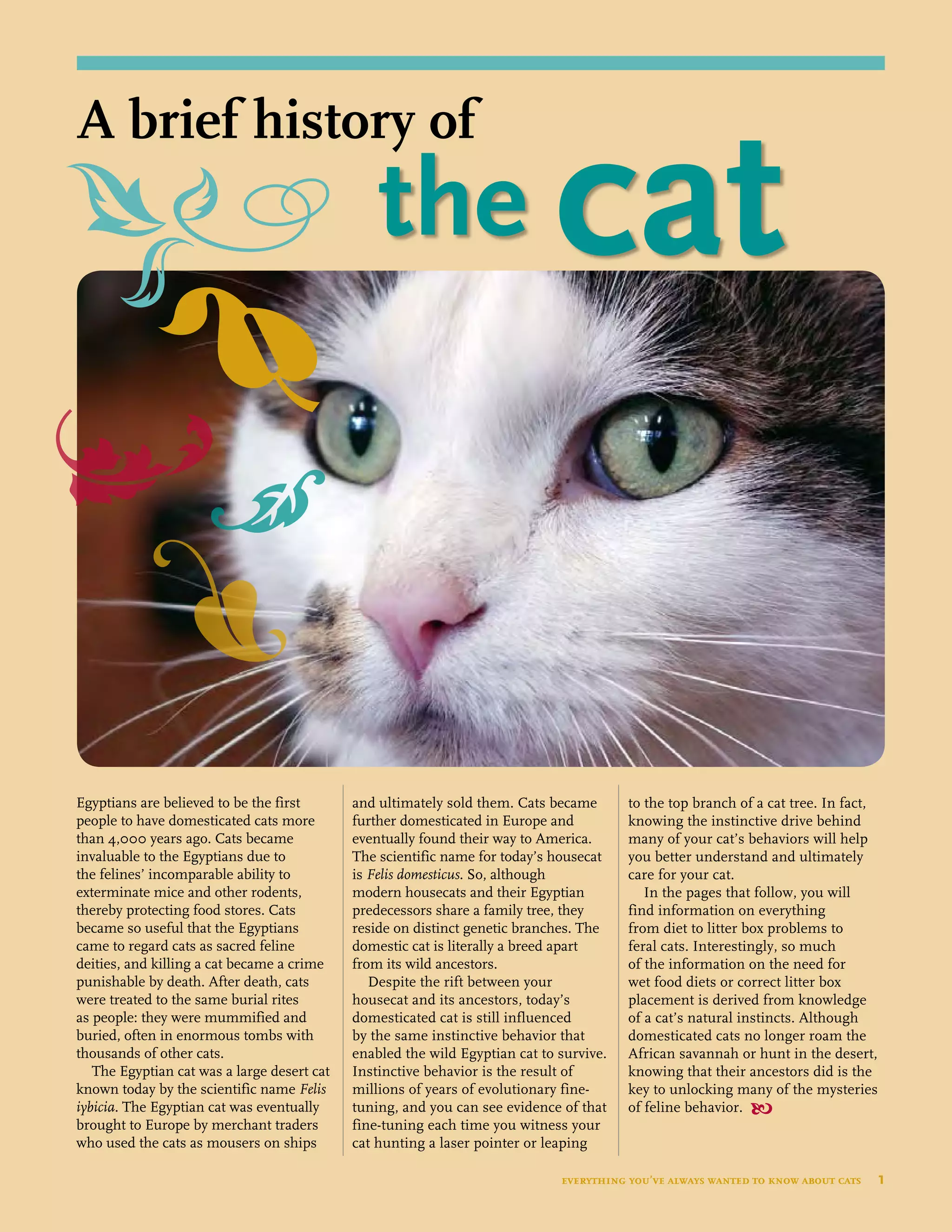 Egyptians are believed to be the first
people to have domesticated cats more
than 4,000 years ago. Cats became
invaluable to the Egyptians due to
the felines’ incomparable ability to
exterminate mice and other rodents,
thereby protecting food stores. Cats
became so useful that the Egyptians
came to regard cats as sacred feline
deities, and killing a cat became a crime
punishable by death. After death, cats
were treated to the same burial rites
as people: they were mummified and
buried, often in enormous tombs with
thousands of other cats.
The Egyptian cat was a large desert cat
known today by the scientific name Felis
iybicia. The Egyptian cat was eventually
brought to Europe by merchant traders
who used the cats as mousers on ships
and ultimately sold them. Cats became
further domesticated in Europe and
eventually found their way to America.
The scientific name for today’s housecat
is Felis domesticus. So, although
modern housecats and their Egyptian
predecessors share a family tree, they
reside on distinct genetic branches. The
domestic cat is literally a breed apart
from its wild ancestors.
Despite the rift between your
housecat and its ancestors, today’s
domesticated cat is still influenced
by the same instinctive behavior that
enabled the wild Egyptian cat to survive.
Instinctive behavior is the result of
millions of years of evolutionary fine-
tuning, and you can see evidence of that
fine-tuning each time you witness your
cat hunting a laser pointer or leaping
to the top branch of a cat tree. In fact,
knowing the instinctive drive behind
many of your cat’s behaviors will help
you better understand and ultimately
care for your cat.
In the pages that follow, you will
find information on everything
from diet to litter box problems to
feral cats. Interestingly, so much
of the information on the need for
wet food diets or correct litter box
placement is derived from knowledge
of a cat’s natural instincts. Although
domesticated cats no longer roam the
African savannah or hunt in the desert,
knowing that their ancestors did is the
key to unlocking many of the mysteries
of feline behavior. 
everything you’ve always wanted to know about cats  1
		the cat
A brief history of
 