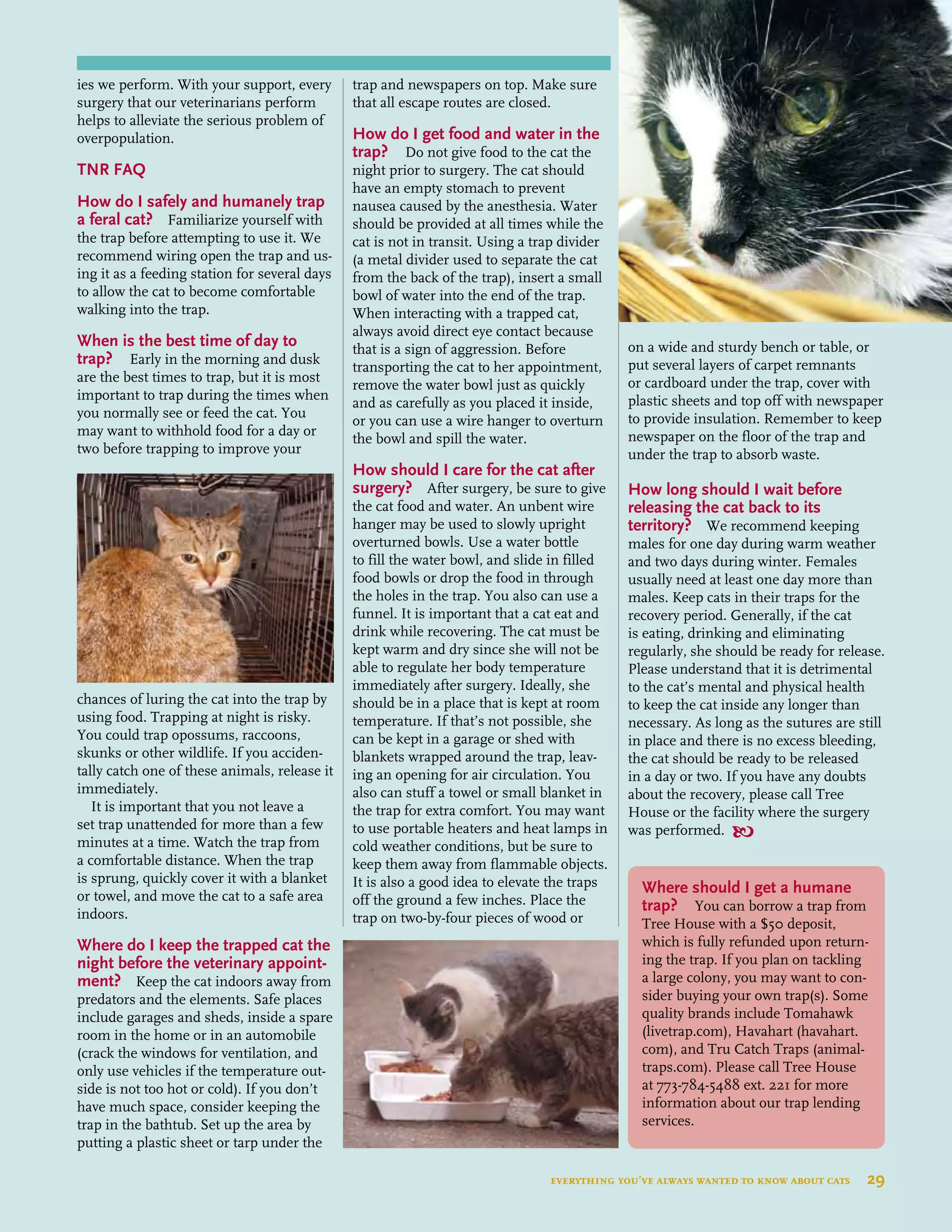 ies we perform. With your support, every
surgery that our veterinarians perform
helps to alleviate the serious problem of
overpopulation.
TNR FAQ
How do I safely and humanely trap
a feral cat? Familiarize yourself with
the trap before attempting to use it. We
recommend wiring open the trap and us-
ing it as a feeding station for several days
to allow the cat to become comfortable
walking into the trap.
When is the best time of day to
trap? Early in the morning and dusk
are the best times to trap, but it is most
important to trap during the times when
you normally see or feed the cat. You
may want to withhold food for a day or
two before trapping to improve your
chances of luring the cat into the trap by
using food. Trapping at night is risky.
You could trap opossums, raccoons,
skunks or other wildlife. If you acciden-
tally catch one of these animals, release it
immediately.
It is important that you not leave a
set trap unattended for more than a few
minutes at a time. Watch the trap from
a comfortable distance. When the trap
is sprung, quickly cover it with a blanket
or towel, and move the cat to a safe area
indoors.
Where do I keep the trapped cat the
night before the veterinary appoint-
ment? Keep the cat indoors away from
predators and the elements. Safe places
include garages and sheds, inside a spare
room in the home or in an automobile
(crack the windows for ventilation, and
only use vehicles if the temperature out-
side is not too hot or cold). If you don’t
have much space, consider keeping the
trap in the bathtub. Set up the area by
putting a plastic sheet or tarp under the
trap and newspapers on top. Make sure
that all escape routes are closed.
How do I get food and water in the
trap? Do not give food to the cat the
night prior to surgery. The cat should
have an empty stomach to prevent
nausea caused by the anesthesia. Water
should be provided at all times while the
cat is not in transit. Using a trap divider
(a metal divider used to separate the cat
from the back of the trap), insert a small
bowl of water into the end of the trap.
When interacting with a trapped cat,
always avoid direct eye contact because
that is a sign of aggression. Before
transporting the cat to her appointment,
remove the water bowl just as quickly
and as carefully as you placed it inside,
or you can use a wire hanger to overturn
the bowl and spill the water.
How should I care for the cat after
surgery? After surgery, be sure to give
the cat food and water. An unbent wire
hanger may be used to slowly upright
overturned bowls. Use a water bottle
to fill the water bowl, and slide in filled
food bowls or drop the food in through
the holes in the trap. You also can use a
funnel. It is important that a cat eat and
drink while recovering. The cat must be
kept warm and dry since she will not be
able to regulate her body temperature
immediately after surgery. Ideally, she
should be in a place that is kept at room
temperature. If that’s not possible, she
can be kept in a garage or shed with
blankets wrapped around the trap, leav-
ing an opening for air circulation. You
also can stuff a towel or small blanket in
the trap for extra comfort. You may want
to use portable heaters and heat lamps in
cold weather conditions, but be sure to
keep them away from flammable objects.
It is also a good idea to elevate the traps
off the ground a few inches. Place the
trap on two-by-four pieces of wood or
on a wide and sturdy bench or table, or
put several layers of carpet remnants
or cardboard under the trap, cover with
plastic sheets and top off with newspaper
to provide insulation. Remember to keep
newspaper on the floor of the trap and
under the trap to absorb waste.
How long should I wait before
releasing the cat back to its
territory? We recommend keeping
males for one day during warm weather
and two days during winter. Females
usually need at least one day more than
males. Keep cats in their traps for the
recovery period. Generally, if the cat
is eating, drinking and eliminating
regularly, she should be ready for release.
Please understand that it is detrimental
to the cat’s mental and physical health
to keep the cat inside any longer than
necessary. As long as the sutures are still
in place and there is no excess bleeding,
the cat should be ready to be released
in a day or two. If you have any doubts
about the recovery, please call Tree
House or the facility where the surgery
was performed. 
Where should I get a humane
trap?  You can borrow a trap from
Tree House with a $50 deposit,
which is fully refunded upon return-
ing the trap. If you plan on tackling
a large colony, you may want to con-
sider buying your own trap(s). Some
quality brands include Tomahawk
(livetrap.com), Havahart (havahart.
com), and Tru Catch Traps (animal-
traps.com). Please call Tree House
at 773-784-5488 ext. 221 for more
information about our trap lending
services.
everything you’ve always wanted to know about cats  29
 