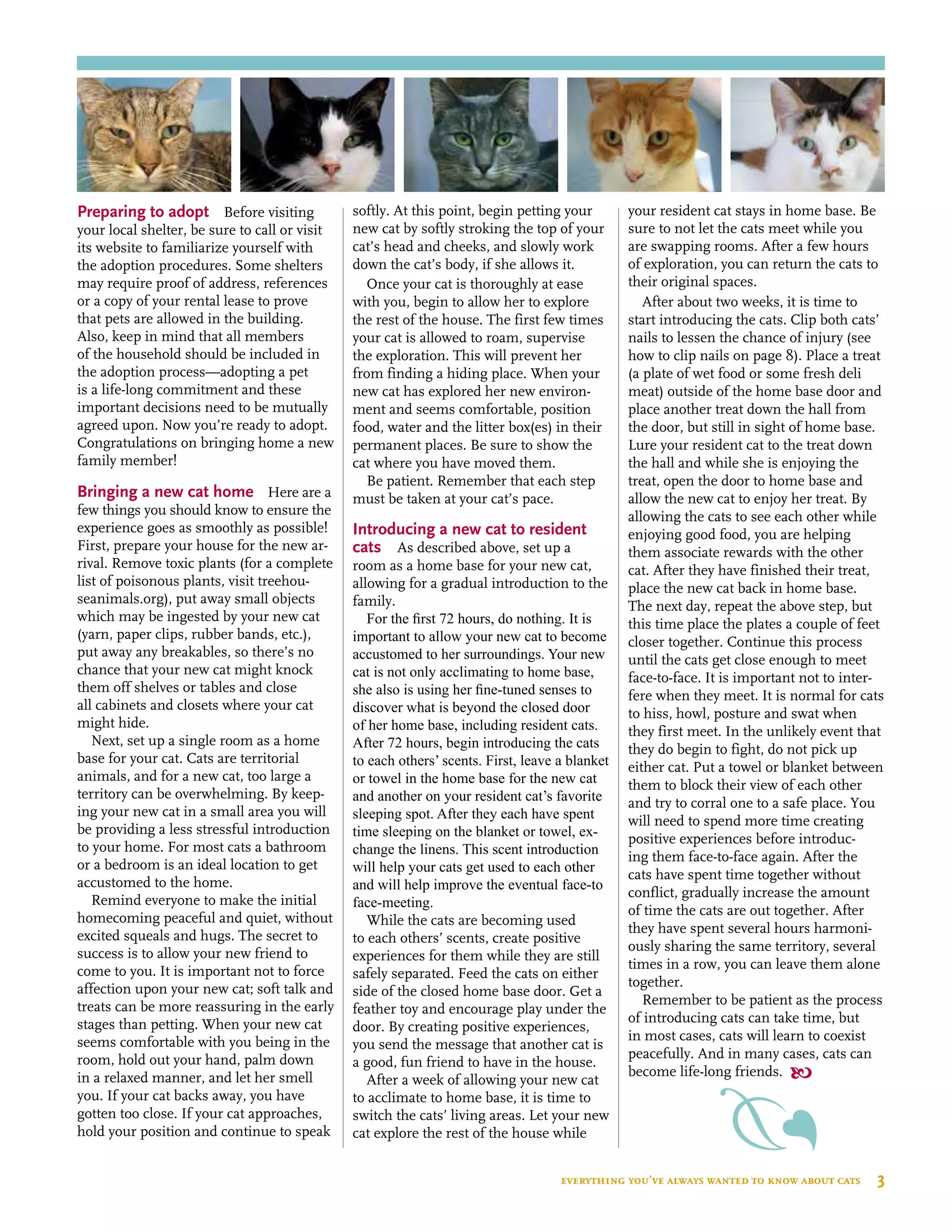Preparing to adopt Before visiting
your local shelter, be sure to call or visit
its website to familiarize yourself with
the adoption procedures. Some shelters
may require proof of address, references
or a copy of your rental lease to prove
that pets are allowed in the building.
Also, keep in mind that all members
of the household should be included in
the adoption process—adopting a pet
is a life-long commitment and these
important decisions need to be mutually
agreed upon. Now you’re ready to adopt.
Congratulations on bringing home a new
family member!
Bringing a new cat home Here are a
few things you should know to ensure the
experience goes as smoothly as possible!
First, prepare your house for the new ar-
rival. Remove toxic plants (for a complete
list of poisonous plants, visit treehou-
seanimals.org), put away small objects
which may be ingested by your new cat
(yarn, paper clips, rubber bands, etc.),
put away any breakables, so there’s no
chance that your new cat might knock
them off shelves or tables and close
all cabinets and closets where your cat
might hide.
Next, set up a single room as a home
base for your cat. Cats are territorial
animals, and for a new cat, too large a
territory can be overwhelming. By keep-
ing your new cat in a small area you will
be providing a less stressful introduction
to your home. For most cats a bathroom
or a bedroom is an ideal location to get
accustomed to the home.
Remind everyone to make the initial
homecoming peaceful and quiet, without
excited squeals and hugs. The secret to
success is to allow your new friend to
come to you. It is important not to force
affection upon your new cat; soft talk and
treats can be more reassuring in the early
stages than petting. When your new cat
seems comfortable with you being in the
room, hold out your hand, palm down
in a relaxed manner, and let her smell
you. If your cat backs away, you have
gotten too close. If your cat approaches,
hold your position and continue to speak
softly. At this point, begin petting your
new cat by softly stroking the top of your
cat’s head and cheeks, and slowly work
down the cat’s body, if she allows it.
Once your cat is thoroughly at ease
with you, begin to allow her to explore
the rest of the house. The first few times
your cat is allowed to roam, supervise
the exploration. This will prevent her
from finding a hiding place. When your
new cat has explored her new environ-
ment and seems comfortable, position
food, water and the litter box(es) in their
permanent places. Be sure to show the
cat where you have moved them.
Be patient. Remember that each step
must be taken at your cat’s pace.
Introducing a new cat to resident
cats As described above, set up a
room as a home base for your new cat,
allowing for a gradual introduction to the
family.
For the first 72 hours, do nothing. It is
important to allow your new cat to become
accustomed to her surroundings. Your new
cat is not only acclimating to home base,
she also is using her fine-tuned senses to
discover what is beyond the closed door
of her home base, including resident cats.
After 72 hours, begin introducing the cats
to each others’ scents. First, leave a blanket
or towel in the home base for the new cat
and another on your resident cat’s favorite
sleeping spot. After they each have spent
time sleeping on the blanket or towel, ex-
change the linens. This scent introduction
will help your cats get used to each other
and will help improve the eventual face-to
face-meeting.
While the cats are becoming used
to each others’ scents, create positive
experiences for them while they are still
safely separated. Feed the cats on either
side of the closed home base door. Get a
feather toy and encourage play under the
door. By creating positive experiences,
you send the message that another cat is
a good, fun friend to have in the house.
After a week of allowing your new cat
to acclimate to home base, it is time to
switch the cats’ living areas. Let your new
cat explore the rest of the house while
your resident cat stays in home base. Be
sure to not let the cats meet while you
are swapping rooms. After a few hours
of exploration, you can return the cats to
their original spaces.
After about two weeks, it is time to
start introducing the cats. Clip both cats’
nails to lessen the chance of injury (see
how to clip nails on page 8). Place a treat
(a plate of wet food or some fresh deli
meat) outside of the home base door and
place another treat down the hall from
the door, but still in sight of home base.
Lure your resident cat to the treat down
the hall and while she is enjoying the
treat, open the door to home base and
allow the new cat to enjoy her treat. By
allowing the cats to see each other while
enjoying good food, you are helping
them associate rewards with the other
cat. After they have finished their treat,
place the new cat back in home base.
The next day, repeat the above step, but
this time place the plates a couple of feet
closer together. Continue this process
until the cats get close enough to meet
face-to-face. It is important not to inter-
fere when they meet. It is normal for cats
to hiss, howl, posture and swat when
they first meet. In the unlikely event that
they do begin to fight, do not pick up
either cat. Put a towel or blanket between
them to block their view of each other
and try to corral one to a safe place. You
will need to spend more time creating
positive experiences before introduc-
ing them face-to-face again. After the
cats have spent time together without
conflict, gradually increase the amount
of time the cats are out together. After
they have spent several hours harmoni-
ously sharing the same territory, several
times in a row, you can leave them alone
together.
Remember to be patient as the process
of introducing cats can take time, but
in most cases, cats will learn to coexist
peacefully. And in many cases, cats can
become life-long friends. 
everything you’ve always wanted to know about cats  3
 