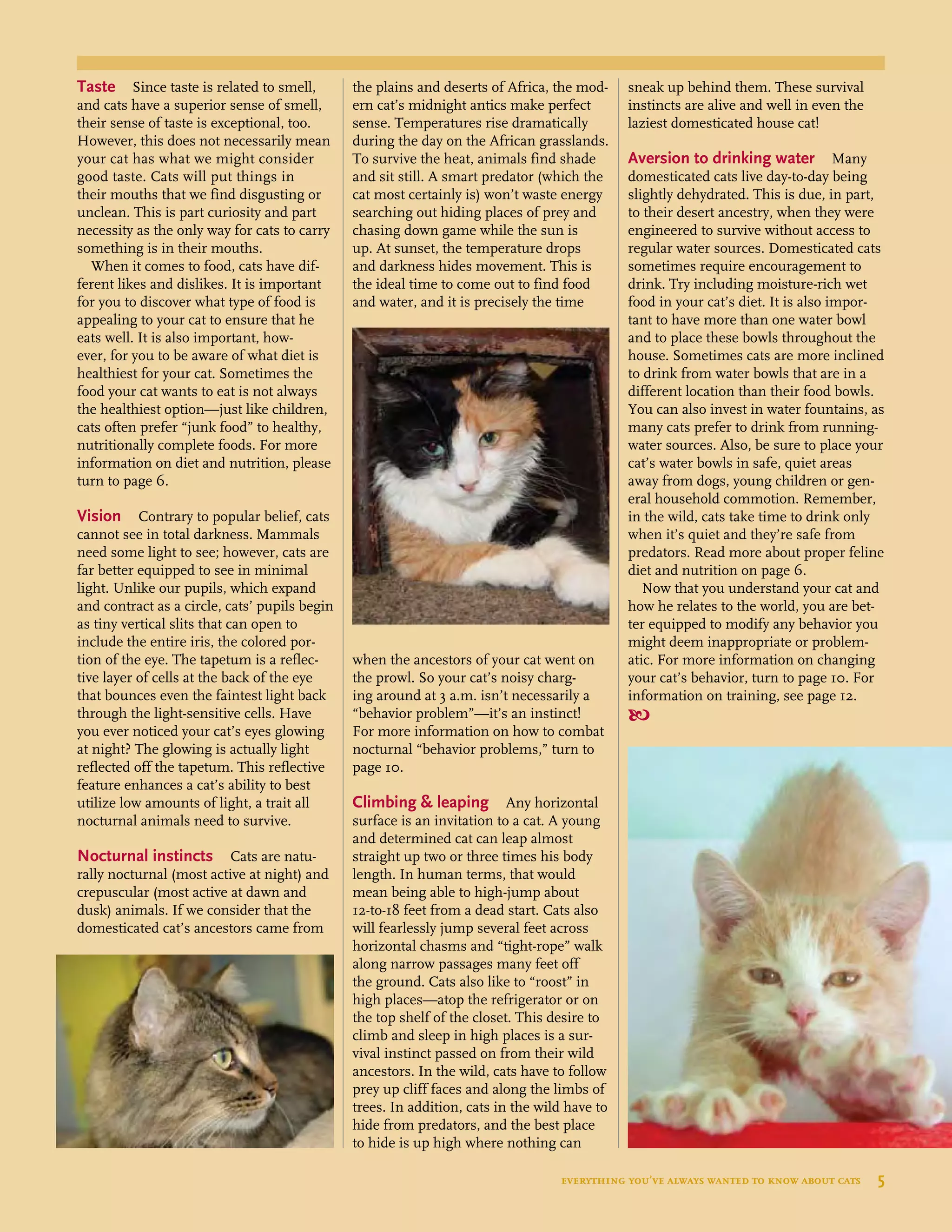 Taste Since taste is related to smell,
and cats have a superior sense of smell,
their sense of taste is exceptional, too.
However, this does not necessarily mean
your cat has what we might consider
good taste. Cats will put things in
their mouths that we find disgusting or
unclean. This is part curiosity and part
necessity as the only way for cats to carry
something is in their mouths.
When it comes to food, cats have dif-
ferent likes and dislikes. It is important
for you to discover what type of food is
appealing to your cat to ensure that he
eats well. It is also important, how-
ever, for you to be aware of what diet is
healthiest for your cat. Sometimes the
food your cat wants to eat is not always
the healthiest option—just like children,
cats often prefer “junk food” to healthy,
nutritionally complete foods. For more
information on diet and nutrition, please
turn to page 6.
Vision Contrary to popular belief, cats
cannot see in total darkness. Mammals
need some light to see; however, cats are
far better equipped to see in minimal
light. Unlike our pupils, which expand
and contract as a circle, cats’ pupils begin
as tiny vertical slits that can open to
include the entire iris, the colored por-
tion of the eye. The tapetum is a reflec-
tive layer of cells at the back of the eye
that bounces even the faintest light back
through the light-sensitive cells. Have
you ever noticed your cat’s eyes glowing
at night? The glowing is actually light
reflected off the tapetum. This reflective
feature enhances a cat’s ability to best
utilize low amounts of light, a trait all
nocturnal animals need to survive.
Nocturnal instincts Cats are natu-
rally nocturnal (most active at night) and
crepuscular (most active at dawn and
dusk) animals. If we consider that the
domesticated cat’s ancestors came from
the plains and deserts of Africa, the mod-
ern cat’s midnight antics make perfect
sense. Temperatures rise dramatically
during the day on the African grasslands.
To survive the heat, animals find shade
and sit still. A smart predator (which the
cat most certainly is) won’t waste energy
searching out hiding places of prey and
chasing down game while the sun is
up. At sunset, the temperature drops
and darkness hides movement. This is
the ideal time to come out to find food
and water, and it is precisely the time
when the ancestors of your cat went on
the prowl. So your cat’s noisy charg-
ing around at 3 a.m. isn’t necessarily a
“behavior problem”—it’s an instinct!
For more information on how to combat
nocturnal “behavior problems,” turn to
page 10.
Climbing & leaping Any horizontal
surface is an invitation to a cat. A young
and determined cat can leap almost
straight up two or three times his body
length. In human terms, that would
mean being able to high-jump about
12-to-18 feet from a dead start. Cats also
will fearlessly jump several feet across
horizontal chasms and “tight-rope” walk
along narrow passages many feet off
the ground. Cats also like to “roost” in
high places—atop the refrigerator or on
the top shelf of the closet. This desire to
climb and sleep in high places is a sur-
vival instinct passed on from their wild
ancestors. In the wild, cats have to follow
prey up cliff faces and along the limbs of
trees. In addition, cats in the wild have to
hide from predators, and the best place
to hide is up high where nothing can
sneak up behind them. These survival
instincts are alive and well in even the
laziest domesticated house cat!
Aversion to drinking water Many
domesticated cats live day-to-day being
slightly dehydrated. This is due, in part,
to their desert ancestry, when they were
engineered to survive without access to
regular water sources. Domesticated cats
sometimes require encouragement to
drink. Try including moisture-rich wet
food in your cat’s diet. It is also impor-
tant to have more than one water bowl
and to place these bowls throughout the
house. Sometimes cats are more inclined
to drink from water bowls that are in a
different location than their food bowls.
You can also invest in water fountains, as
many cats prefer to drink from running-
water sources. Also, be sure to place your
cat’s water bowls in safe, quiet areas
away from dogs, young children or gen-
eral household commotion. Remember,
in the wild, cats take time to drink only
when it’s quiet and they’re safe from
predators. Read more about proper feline
diet and nutrition on page 6.
Now that you understand your cat and
how he relates to the world, you are bet-
ter equipped to modify any behavior you
might deem inappropriate or problem-
atic. For more information on changing
your cat’s behavior, turn to page 10. For
information on training, see page 12.

everything you’ve always wanted to know about cats  5
 