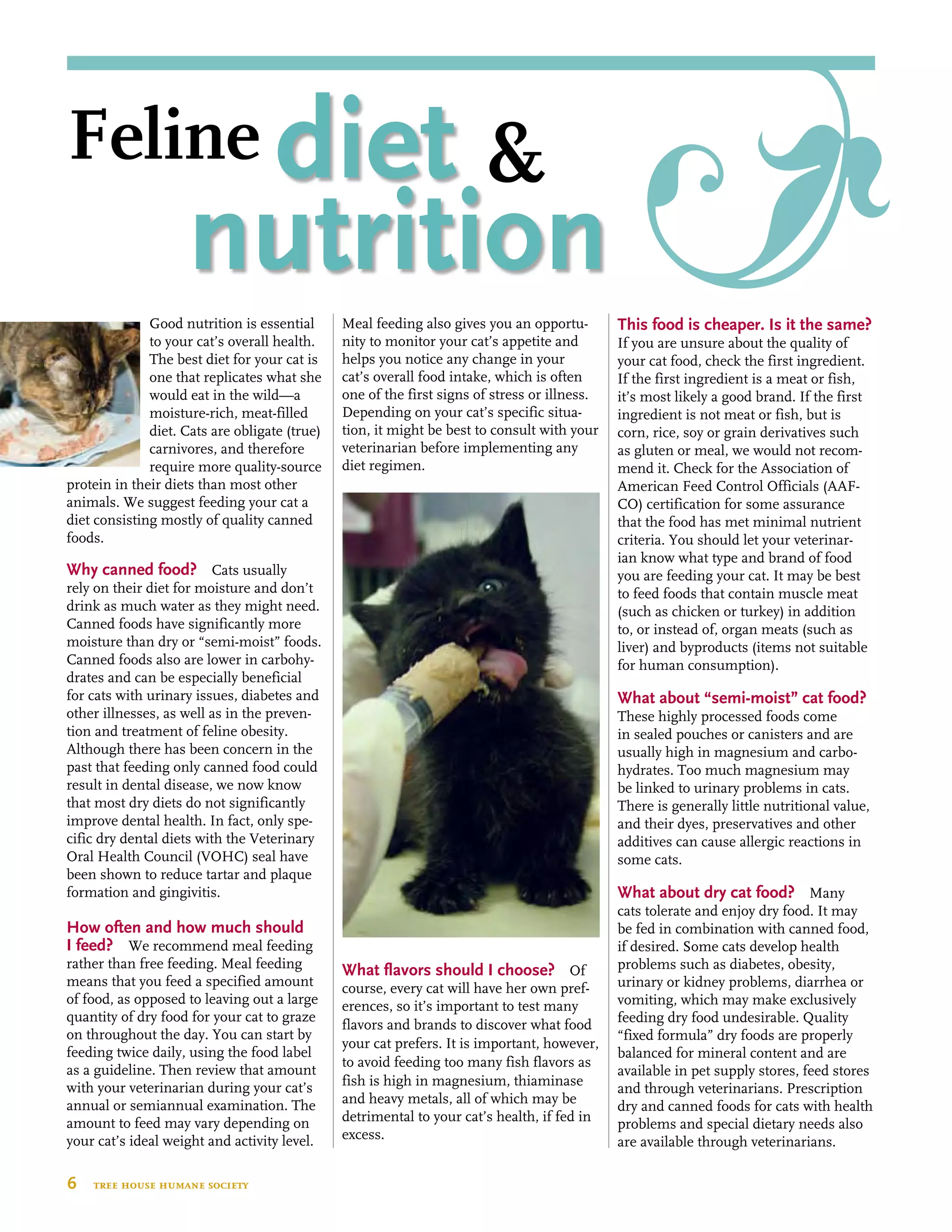 Good nutrition is essential
to your cat’s overall health.
The best diet for your cat is
one that replicates what she
would eat in the wild—a
moisture-rich, meat-filled
diet. Cats are obligate (true)
carnivores, and therefore
require more quality-source
protein in their diets than most other
animals. We suggest feeding your cat a
diet consisting mostly of quality canned
foods.
Why canned food? Cats usually
rely on their diet for moisture and don’t
drink as much water as they might need.
Canned foods have significantly more
moisture than dry or “semi-moist” foods.
Canned foods also are lower in carbohy-
drates and can be especially beneficial
for cats with urinary issues, diabetes and
other illnesses, as well as in the preven-
tion and treatment of feline obesity.
Although there has been concern in the
past that feeding only canned food could
result in dental disease, we now know
that most dry diets do not significantly
improve dental health. In fact, only spe-
cific dry dental diets with the Veterinary
Oral Health Council (VOHC) seal have
been shown to reduce tartar and plaque
formation and gingivitis.
How often and how much should
I feed? We recommend meal feeding
rather than free feeding. Meal feeding
means that you feed a specified amount
of food, as opposed to leaving out a large
quantity of dry food for your cat to graze
on throughout the day. You can start by
feeding twice daily, using the food label
as a guideline. Then review that amount
with your veterinarian during your cat’s
annual or semiannual examination. The
amount to feed may vary depending on
your cat’s ideal weight and activity level.
Meal feeding also gives you an opportu-
nity to monitor your cat’s appetite and
helps you notice any change in your
cat’s overall food intake, which is often
one of the first signs of stress or illness.
Depending on your cat’s specific situa-
tion, it might be best to consult with your
veterinarian before implementing any
diet regimen.
What flavors should I choose? Of
course, every cat will have her own pref-
erences, so it’s important to test many
flavors and brands to discover what food
your cat prefers. It is important, however,
to avoid feeding too many fish flavors as
fish is high in magnesium, thiaminase
and heavy metals, all of which may be
detrimental to your cat’s health, if fed in
excess.
This food is cheaper. Is it the same?
If you are unsure about the quality of
your cat food, check the first ingredient.
If the first ingredient is a meat or fish,
it’s most likely a good brand. If the first
ingredient is not meat or fish, but is
corn, rice, soy or grain derivatives such
as gluten or meal, we would not recom-
mend it. Check for the Association of
American Feed Control Officials (AAF-
CO) certification for some assurance
that the food has met minimal nutrient
criteria. You should let your veterinar-
ian know what type and brand of food
you are feeding your cat. It may be best
to feed foods that contain muscle meat
(such as chicken or turkey) in addition
to, or instead of, organ meats (such as
liver) and byproducts (items not suitable
for human consumption).
What about “semi-moist” cat food?
These highly processed foods come
in sealed pouches or canisters and are
usually high in magnesium and carbo-
hydrates. Too much magnesium may
be linked to urinary problems in cats.
There is generally little nutritional value,
and their dyes, preservatives and other
additives can cause allergic reactions in
some cats.
What about dry cat food? Many
cats tolerate and enjoy dry food. It may
be fed in combination with canned food,
if desired. Some cats develop health
problems such as diabetes, obesity,
urinary or kidney problems, diarrhea or
vomiting, which may make exclusively
feeding dry food undesirable. Quality
“fixed formula” dry foods are properly
balanced for mineral content and are
available in pet supply stores, feed stores
and through veterinarians. Prescription
dry and canned foods for cats with health
problems and special dietary needs also
are available through veterinarians.
6  tree house humane society
	 nutrition
diet &Feline
 