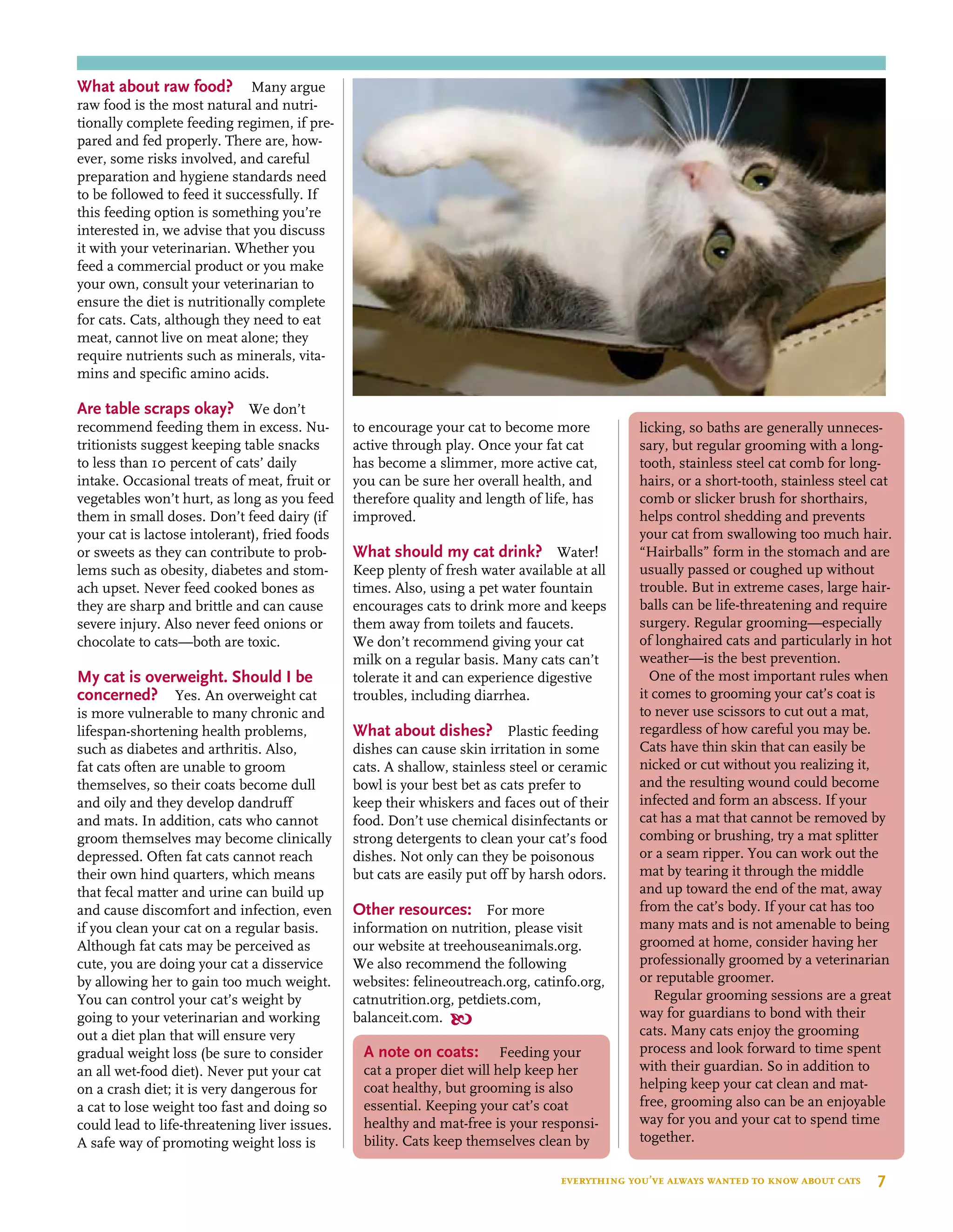 What about raw food? Many argue
raw food is the most natural and nutri-
tionally complete feeding regimen, if pre-
pared and fed properly. There are, how-
ever, some risks involved, and careful
preparation and hygiene standards need
to be followed to feed it successfully. If
this feeding option is something you’re
interested in, we advise that you discuss
it with your veterinarian. Whether you
feed a commercial product or you make
your own, consult your veterinarian to
ensure the diet is nutritionally complete
for cats. Cats, although they need to eat
meat, cannot live on meat alone; they
require nutrients such as minerals, vita-
mins and specific amino acids.
Are table scraps okay? We don’t
recommend feeding them in excess. Nu-
tritionists suggest keeping table snacks
to less than 10 percent of cats’ daily
intake. Occasional treats of meat, fruit or
vegetables won’t hurt, as long as you feed
them in small doses. Don’t feed dairy (if
your cat is lactose intolerant), fried foods
or sweets as they can contribute to prob-
lems such as obesity, diabetes and stom-
ach upset. Never feed cooked bones as
they are sharp and brittle and can cause
severe injury. Also never feed onions or
chocolate to cats—both are toxic.
My cat is overweight. Should I be
concerned? Yes. An overweight cat
is more vulnerable to many chronic and
lifespan-shortening health problems,
such as diabetes and arthritis. Also,
fat cats often are unable to groom
themselves, so their coats become dull
and oily and they develop dandruff
and mats. In addition, cats who cannot
groom themselves may become clinically
depressed. Often fat cats cannot reach
their own hind quarters, which means
that fecal matter and urine can build up
and cause discomfort and infection, even
if you clean your cat on a regular basis.
Although fat cats may be perceived as
cute, you are doing your cat a disservice
by allowing her to gain too much weight.
You can control your cat’s weight by
going to your veterinarian and working
out a diet plan that will ensure very
gradual weight loss (be sure to consider
an all wet-food diet). Never put your cat
on a crash diet; it is very dangerous for
a cat to lose weight too fast and doing so
could lead to life-threatening liver issues.
A safe way of promoting weight loss is
to encourage your cat to become more
active through play. Once your fat cat
has become a slimmer, more active cat,
you can be sure her overall health, and
therefore quality and length of life, has
improved.
What should my cat drink? Water!
Keep plenty of fresh water available at all
times. Also, using a pet water fountain
encourages cats to drink more and keeps
them away from toilets and faucets.
We don’t recommend giving your cat
milk on a regular basis. Many cats can’t
tolerate it and can experience digestive
troubles, including diarrhea.
What about dishes? Plastic feeding
dishes can cause skin irritation in some
cats. A shallow, stainless steel or ceramic
bowl is your best bet as cats prefer to
keep their whiskers and faces out of their
food. Don’t use chemical disinfectants or
strong detergents to clean your cat’s food
dishes. Not only can they be poisonous
but cats are easily put off by harsh odors.
Other resources: For more
information on nutrition, please visit
our website at treehouseanimals.org.
We also recommend the following
websites: felineoutreach.org, catinfo.org,
catnutrition.org, petdiets.com,
balanceit.com. 
A note on coats: Feeding your
cat a proper diet will help keep her
coat healthy, but grooming is also
essential. Keeping your cat’s coat
healthy and mat-free is your responsi-
bility. Cats keep themselves clean by
licking, so baths are generally unneces-
sary, but regular grooming with a long-
tooth, stainless steel cat comb for long-
hairs, or a short-tooth, stainless steel cat
comb or slicker brush for shorthairs,
helps control shedding and prevents
your cat from swallowing too much hair.
“Hairballs” form in the stomach and are
usually passed or coughed up without
trouble. But in extreme cases, large hair-
balls can be life-threatening and require
surgery. Regular grooming—especially
of longhaired cats and particularly in hot
weather—is the best prevention.
One of the most important rules when
it comes to grooming your cat’s coat is
to never use scissors to cut out a mat,
regardless of how careful you may be.
Cats have thin skin that can easily be
nicked or cut without you realizing it,
and the resulting wound could become
infected and form an abscess. If your
cat has a mat that cannot be removed by
combing or brushing, try a mat splitter
or a seam ripper. You can work out the
mat by tearing it through the middle
and up toward the end of the mat, away
from the cat’s body. If your cat has too
many mats and is not amenable to being
groomed at home, consider having her
professionally groomed by a veterinarian
or reputable groomer.
Regular grooming sessions are a great
way for guardians to bond with their
cats. Many cats enjoy the grooming
process and look forward to time spent
with their guardian. So in addition to
helping keep your cat clean and mat-
free, grooming also can be an enjoyable
way for you and your cat to spend time
together.
everything you’ve always wanted to know about cats  7
 
