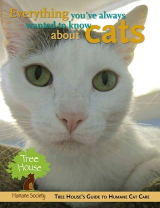 Tree House’s Guide to Humane Cat Care
about cats
Everything you’ve always
	 wanted to know
 
