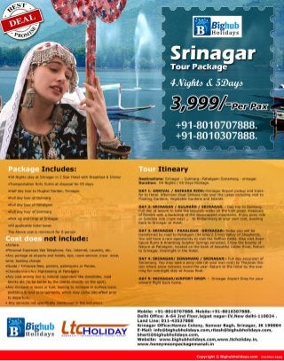 Srinagar Tour Package | LTC package Srinagar 