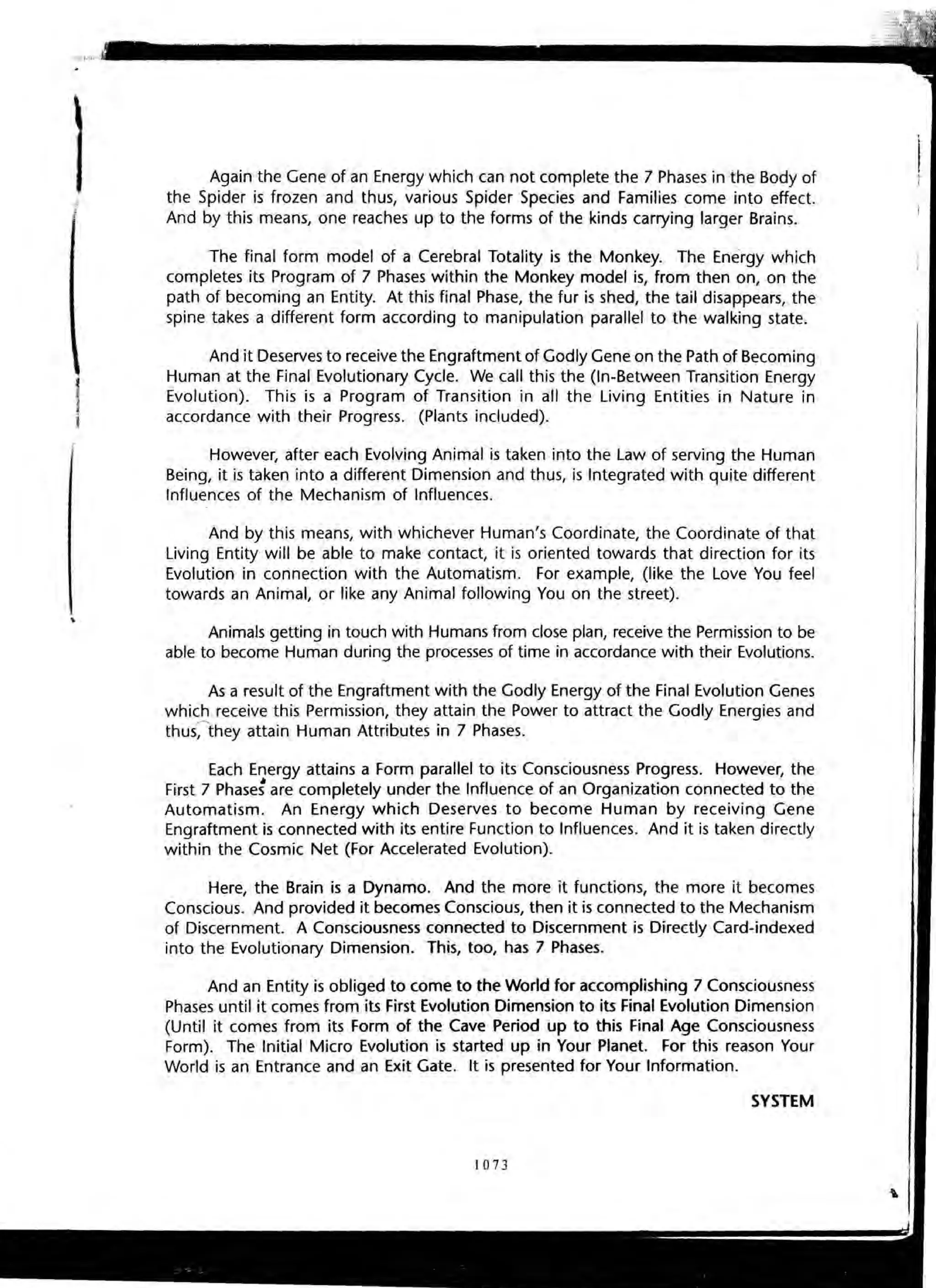 The Knowledge Book (Bilgi Kitabi)