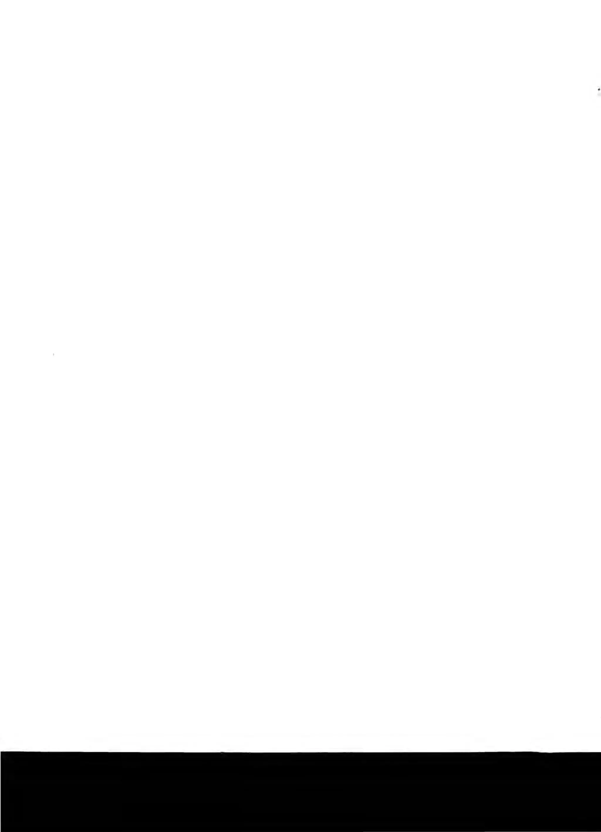 The Knowledge Book (Bilgi Kitabi)