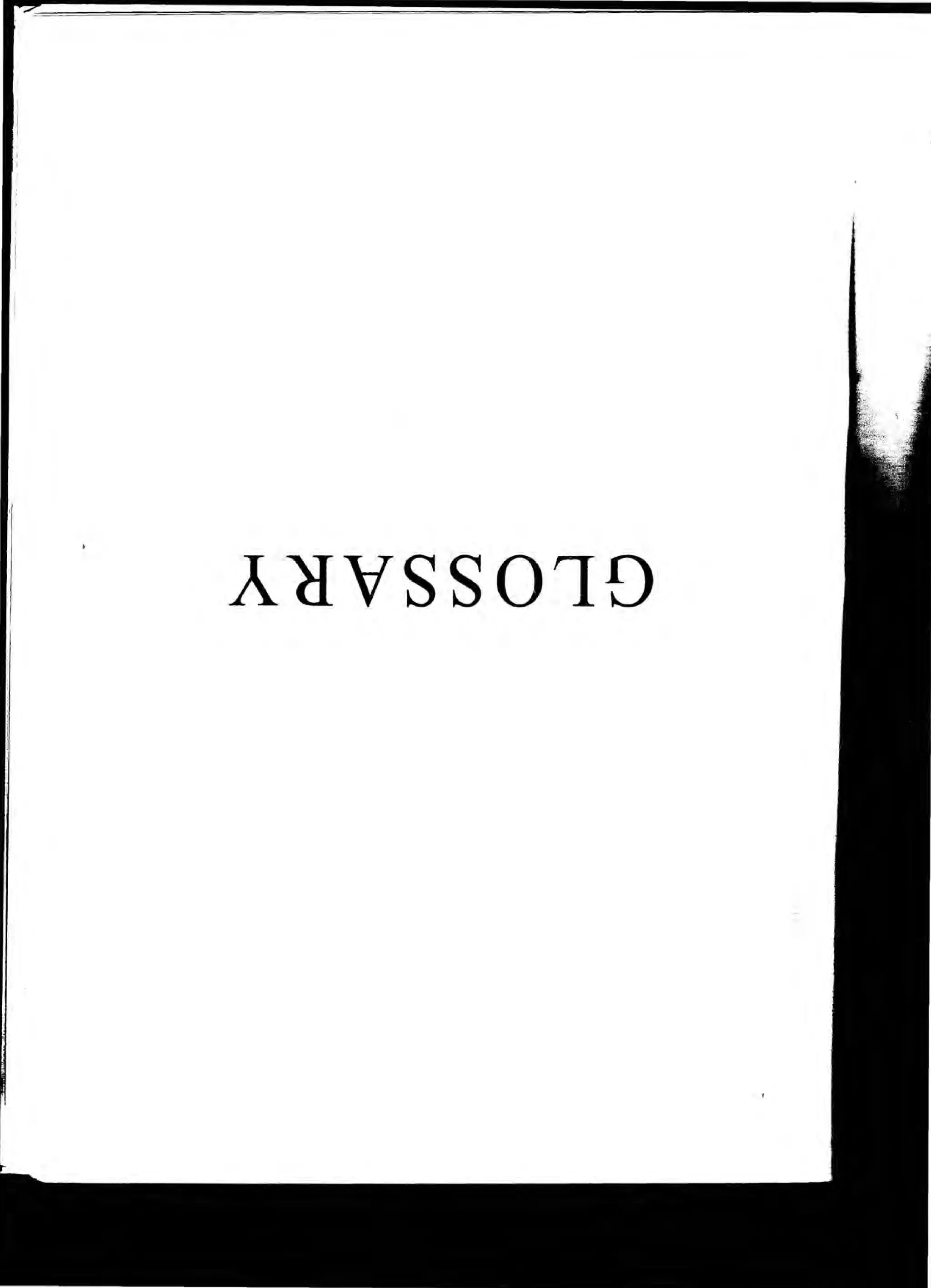 The Knowledge Book (Bilgi Kitabi)