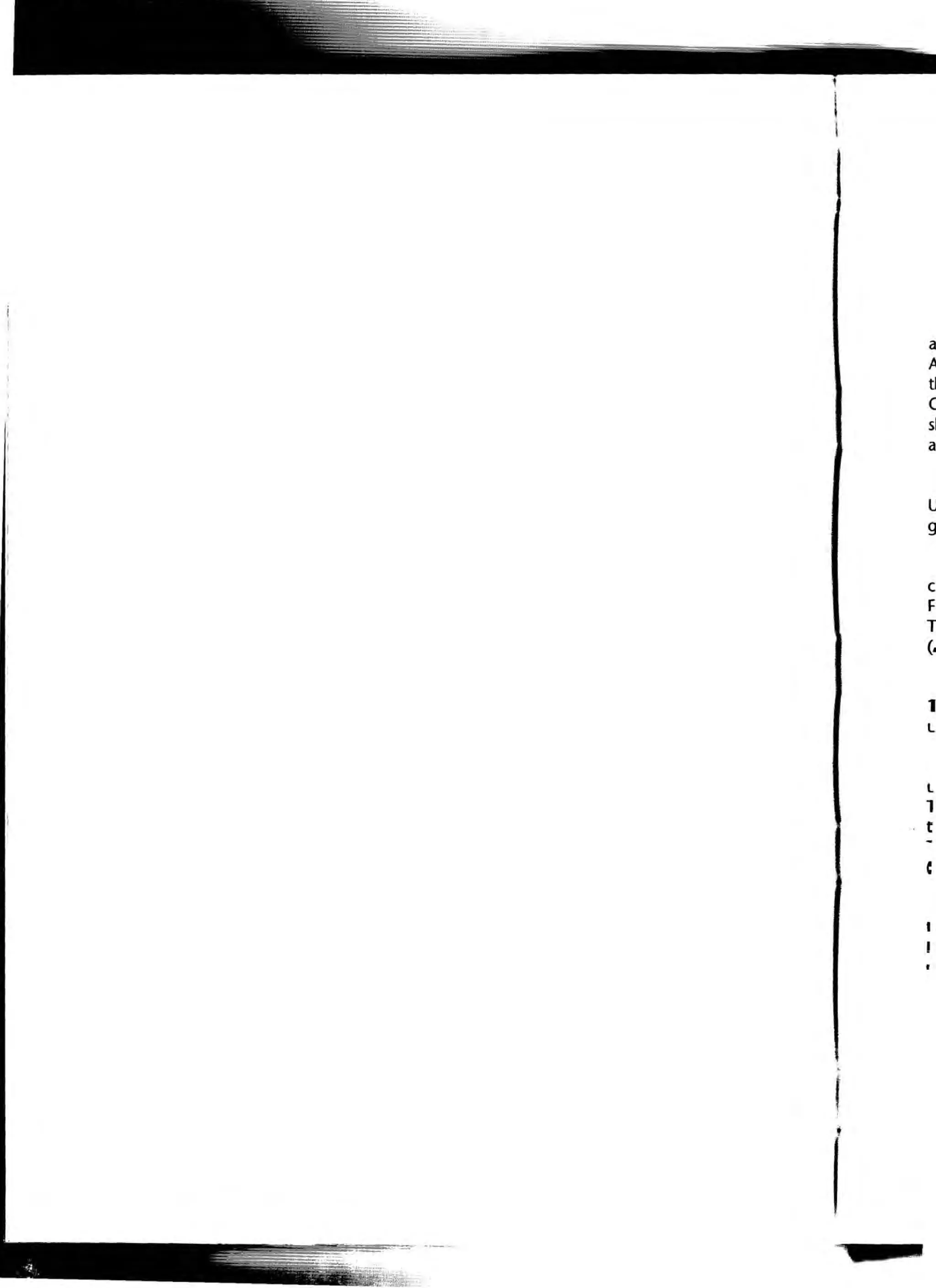 The Knowledge Book (Bilgi Kitabi)