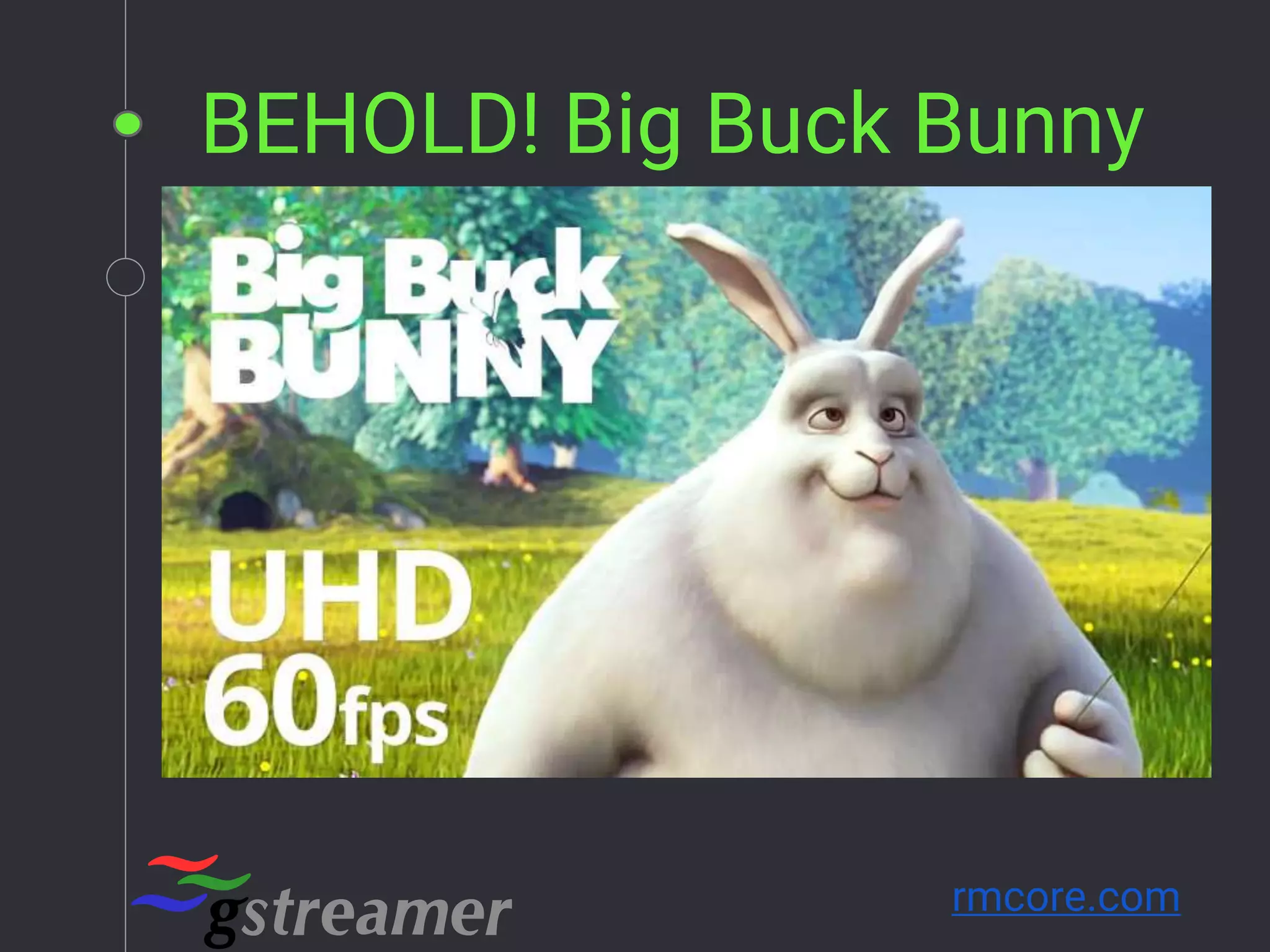 BEHOLD! Big Buck Bunny
rmcore.com
 
