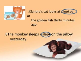 8
. The monkey sleeps / slept on the pillow
yesterday.
7
. Sandra’s cat looks at / looked
at
the golden fish thirty minutes
ago.
 