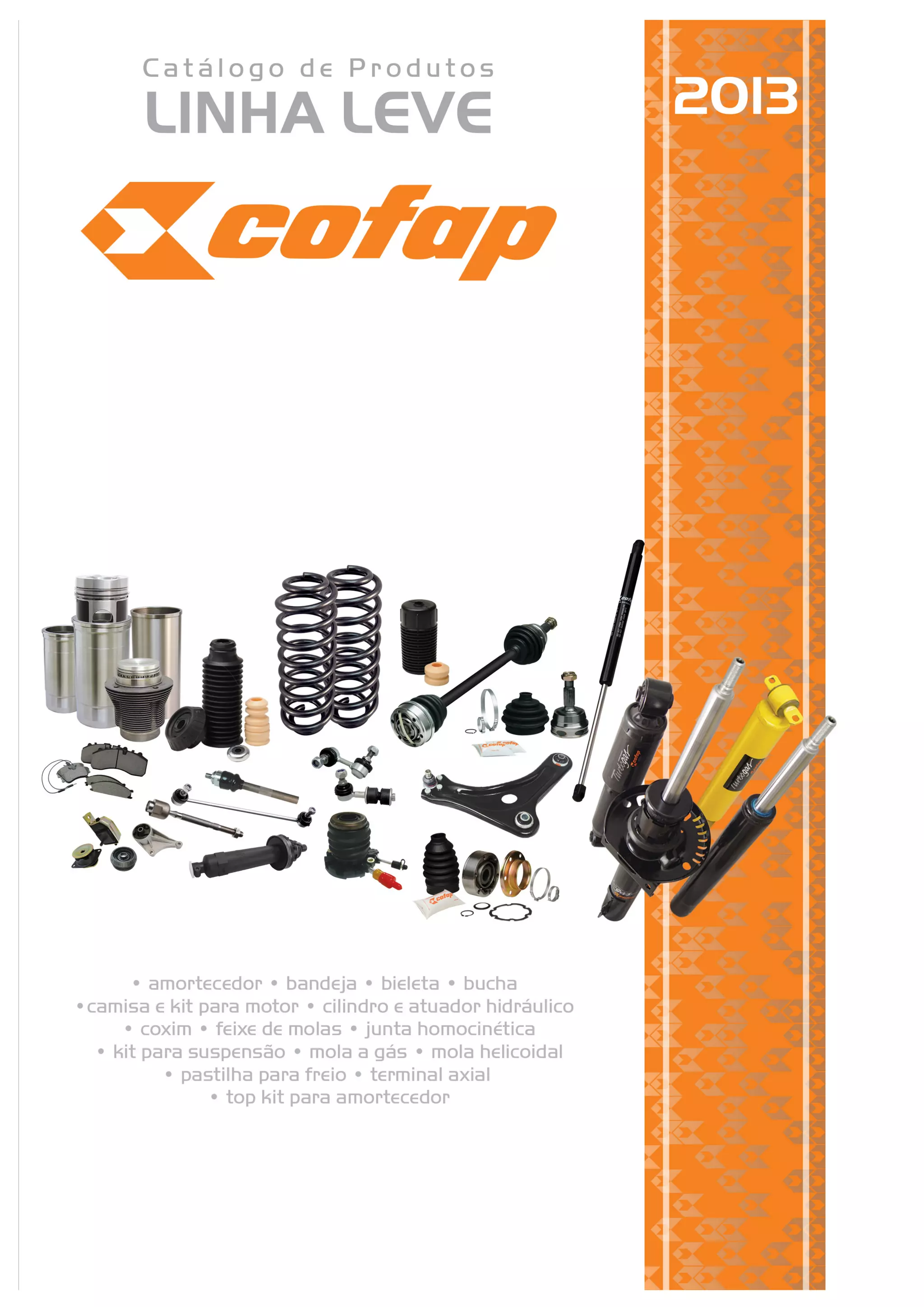 Cofap-2013-1-2048.jpg