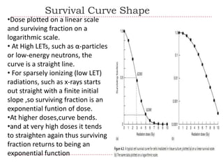 Survival Curve Shape
•Dose plotted on a linear scale
and surviving fraction on a
logarithmic scale.
• At High LETs, such as α-particles
or low-energy neutrons, the
curve is a straight line.
• For sparsely ionizing (low LET)
radiations, such as x-rays starts
out straight with a finite initial
slope ,so surviving fraction is an
exponential funtion of dose.
•At higher doses,curve bends.
•and at very high doses it tends
to straighten again thus surviving
fraction returns to being an
exponential function
 