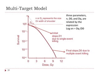 Multi-Target Model
n or Dq represents the size
Or width of shoulder
Dq
100
10-1
due to single-event
killing10-2
10-3
10-4
0 3 6 9 12
Dose, Gy
31
Survival
n
Initial
slope,D1
three parameters,
n, D0, and Dq, are
related by the
expression
Log en = Dq /D0
Final slope,D0 due to
multiple event killing
 
