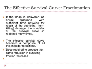 The Effective Survival Curve: Fractionation
If the dose is delivered as
equal fractions with
sufficient time between for
repair of the sub-lethal (non-
killing) damage, the shoulder
of the survival curve is
repeated many times.
The effective survival curve
becomes a composite of all
the shoulder repetitions.
Dose required to produce the
same reduction in surviving
fraction increases.


 