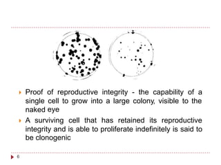  Proof
single
naked
of reproductive integrity - the capability of a
cell to grow into a large colony, visible to the
eye
 A surviving cell that has retained its reproductive
integrity and is able to proliferate indefinitely is said to
be clonogenic
6
 