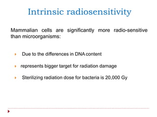Intrinsic radiosensitivity
Mammalian cells are significantly more radio-sensitive
than microorganisms:
 Due to the differences in DNA content
 represents bigger target for radiation damage
 Sterilizing radiation dose for bacteria is 20,000 Gy
 