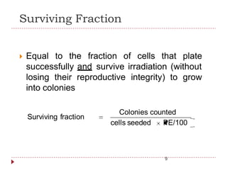 Surviving Fraction
 Equal to the fraction of cells that plate
successfully and survive irradiation (without
losing their reproductive integrity) to grow
into colonies
Colonies counted
Surviving fraction
cells seeded PE/100
9
 