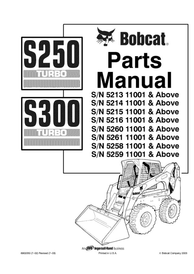 Bobcat S250 Parts Diagram Lights Pietrodavico It Solid Pigeon Solid Pigeon Pietrodavico It