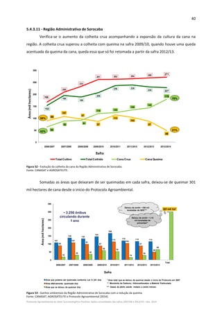 40 
Protocolo Agroambiental do Setor Sucroenergético Paulista: dados consolidados das safras 2007/08 a 2013/14 – Dez. 2014 
5.4.3.11 ‐ Região Administrativa de Sorocaba 
Verifica‐se  o  aumento  da  colheita  crua  acompanhando  a  expansão  da  cultura  da  cana  na 
região. A colheita crua superou a colheita com queima na safra 2009/10, quando houve uma queda 
acentuada da queima da cana, queda essa que só foi retomada a partir da safra 2012/13.  
 
168
208
233
261 262 264 268 271
153
195
188
206
236 238
230 227
64
88
91
119 123
135
143
179
89
107
97
87
113
103
87
49
0
50
100
150
200
250
300
Safra
2006/2007
Safra
2007/2008
Safra
2008/2009
Safra
2009/2010
Safra
2010/2011
Safra
2011/2012
Safra
2012/2013
Safra
2013/2014
Total Cultivo Total Colhido Cana Crua Cana Queima
Safra
Área(milhectares)
58%
42% 21%
79%
2006/2007 2007/2008 2008/2009 2009/2010 2010/2011 2011/2012 2012/2013 2013/2014
 
Figura 52 ‐ Evolução da colheita da cana da Região Administrativa de Sorocaba.  
Fonte: CANASAT e AGROSATELITE. 
 
Somadas as áreas que deixaram de ser queimadas em cada safra, deixou‐se de queimar 301 
mil hectares de cana desde o início do Protocolo Agroambiental. 
 
107
136 132
144
165
119 115 114
89
107
97
87
113
103
87
49
18
29 35
58 52
16
28
65
301 mil ha*
0
50
100
150
200
250
300
350
Safra
2006/2007
Safra
2007/2008
Safra
2008/2009
Safra
2009/2010
Safra
2010/2011
Safra
2011/2012
Safra
2012/2013
Safra
2013/2014
Total
Área que poderia ser queimada conforme Lei 11.241 (ha)
Área efetivamente queimada (ha)
Área que se deixou de queimar (ha)
Safra
Área(milhectares)
* Área total que se deixou de queimar desde o início do Protocolo em 2007
** Monóxido de Carbono, Hidrocarbonetos e Material Particulado
~ 3.250 ônibus
circulando durante
1 ano
Deixou de emitir ~186 mil
toneladas de GEE***
Deixou de emitir ~1,12
mil toneladas de
poluentes**
*** Gases de efeito estufa: metano e óxido nitroso
2006/2007 2007/2008 2008/2009 2009/2010 2010/2011 2011/2012 2012/2013 2013/2014
 
Figura 53 ‐ Ganhos ambientais da Região Administrativa de Sorocaba com a redução da queima. 
Fonte: CANASAT, AGROSATELITE e Protocolo Agroambiental (2014). 
 