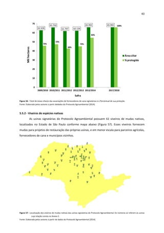 43 
 
62.634
65.750
61.797 62.124
65.992 65.992
73%
72%
69%
73%
83%
100%
0
10
20
30
40
50
60
70
2009/2010 2010/2011 2011/2012 2012/2013 2013/2014 2017/2018
Mil hectares
Área ciliar
% protegido
Safra  
Figura 56 ‐ Total de áreas ciliares das associações de fornecedores de cana signatárias e o Percentual de sua proteção. 
Fonte: Elaborada pelos autores a partir dedados do Protocolo Agroambiental (2014). 
 
5.5.2 ‐ Viveiros de espécies nativas  
As  usinas  signatárias  do  Protocolo  Agroambiental  possuem  61  viveiros  de  mudas  nativas, 
localizados  no  Estado  de  São  Paulo  conforme  mapa  abaixo  (Figura  57).  Esses  viveiros  fornecem 
mudas para projetos de restauração das próprias usinas, e em menor escala para parceiros agrícolas, 
fornecedores de cana e municípios vizinhos. 
 
Figura 57 ‐ Localização dos viveiros de mudas nativas das usinas signatárias do Protocolo Agroambiental.
 
Os números se referem às usinas 
cuja relação consta no Anexo 2.  
Fonte: Elaborada pelos autores a partir de dados do Protocolo Agroambiental (2014). 
 
