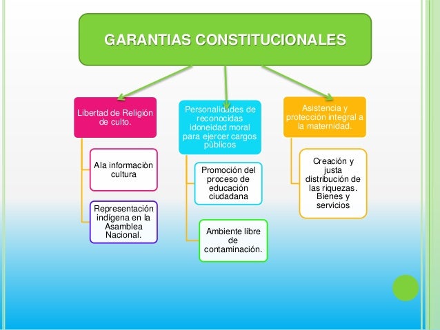 Principios y garantías constitucionales.bernardo yepez
