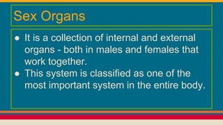 Sex Organs
● It is a collection of internal and external
organs - both in males and females that
work together.
● This system is classified as one of the
most important system in the entire body.