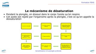 Formation PE40
Sensibilisation à la plongée profonde
Le mécanisme de désaturation
Lors de la remontée
La pression absolue
diminue
L’azote dissout dans
l’organisme reprend
sa forme gazeuse
Sous forme de micro-
bulles
A chaque expiration
Cet azote est éliminé
par le cycle
respiratoire normal
Mais il reste de
l’azote dissous dans
l’organisme
Même après être sorti
de l’eau
Cet azote résiduel va
être éliminé par la
respiration dans les
12 heures qui suivent
• Pendant la plongée, on dissout dans le corps l’azote qu’on respire
• Cet azote est rejeté par l’organisme après la plongée, c’est ce qu’on appelle la
dessaturation
 
