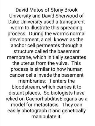 Prepared by:Zahraa Mohammed